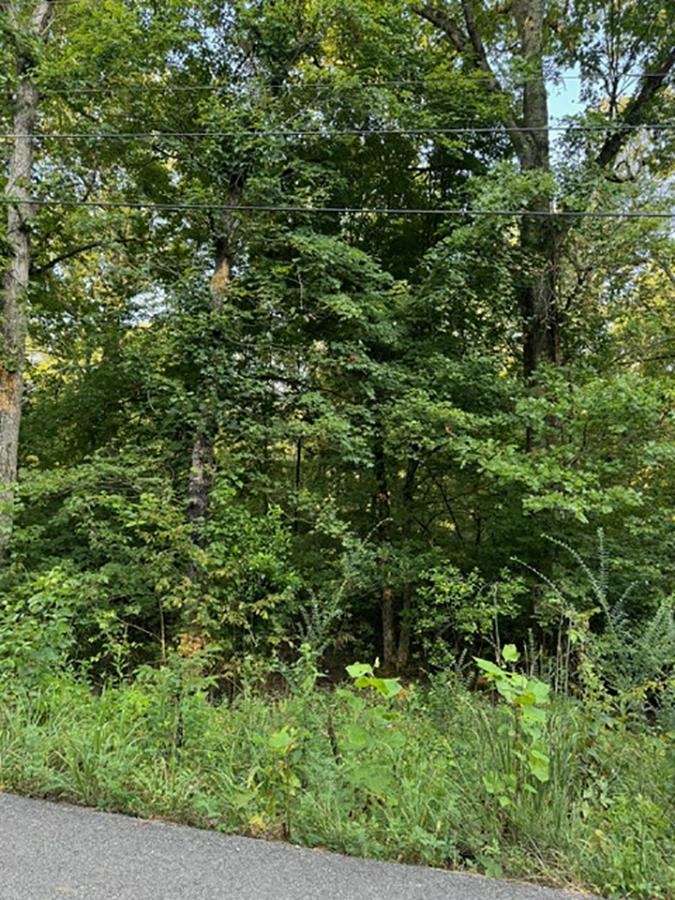  Woodland Hills  Hardy, AR