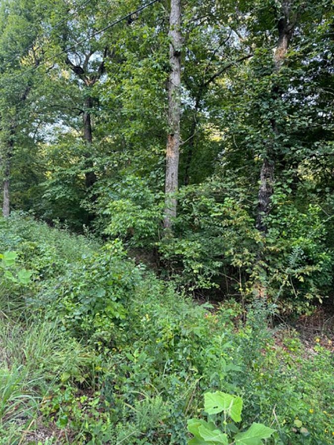   Woodland Hills  Hardy, AR