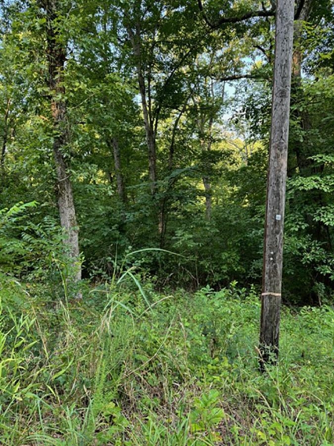   Woodland Hills  Hardy, AR