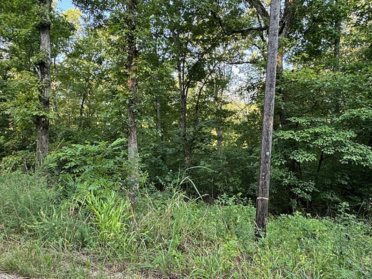   Woodland Hills  Hardy, AR