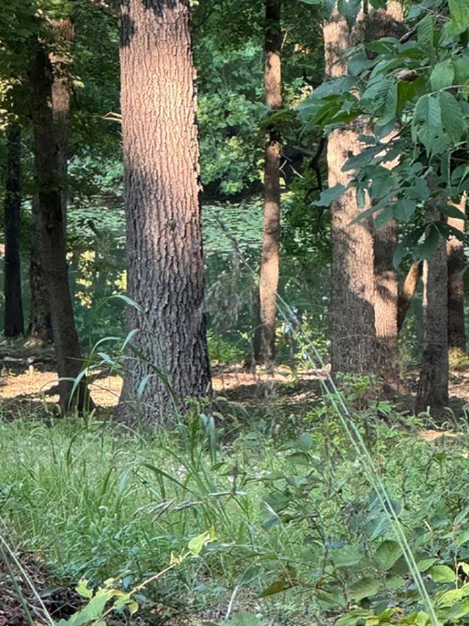   Woodland Hills  Hardy, AR