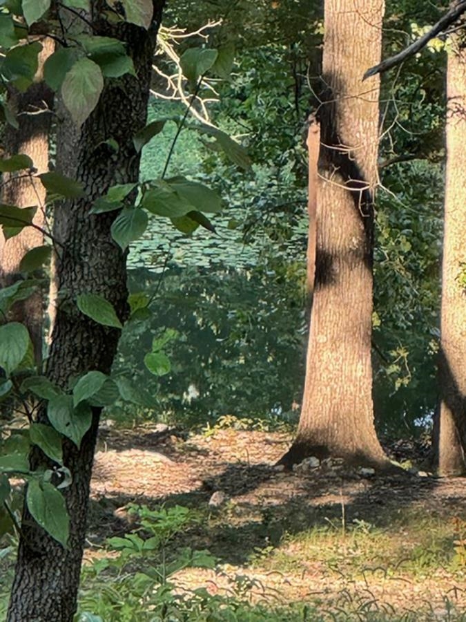   Woodland Hills  Hardy, AR