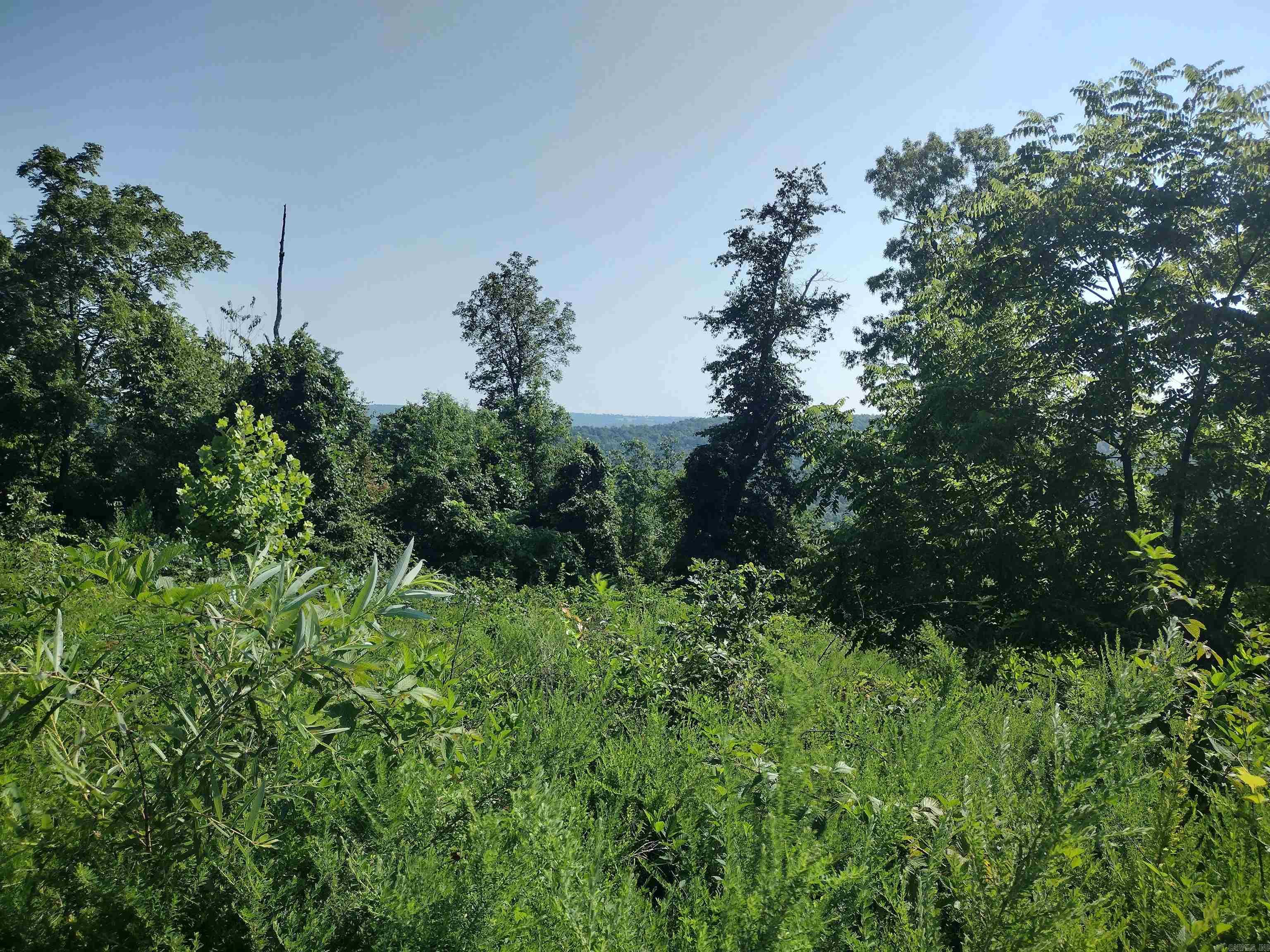 0  Null Rd  Mountain View, AR