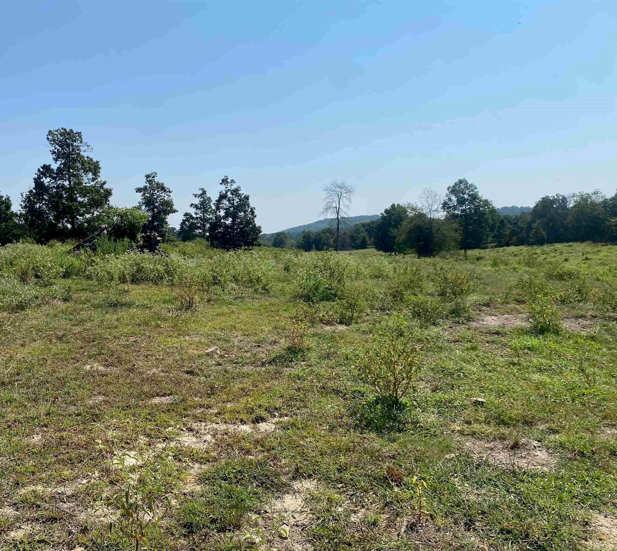 To Be Determine  Old Caddo Gap Road  Bonnerdale, AR