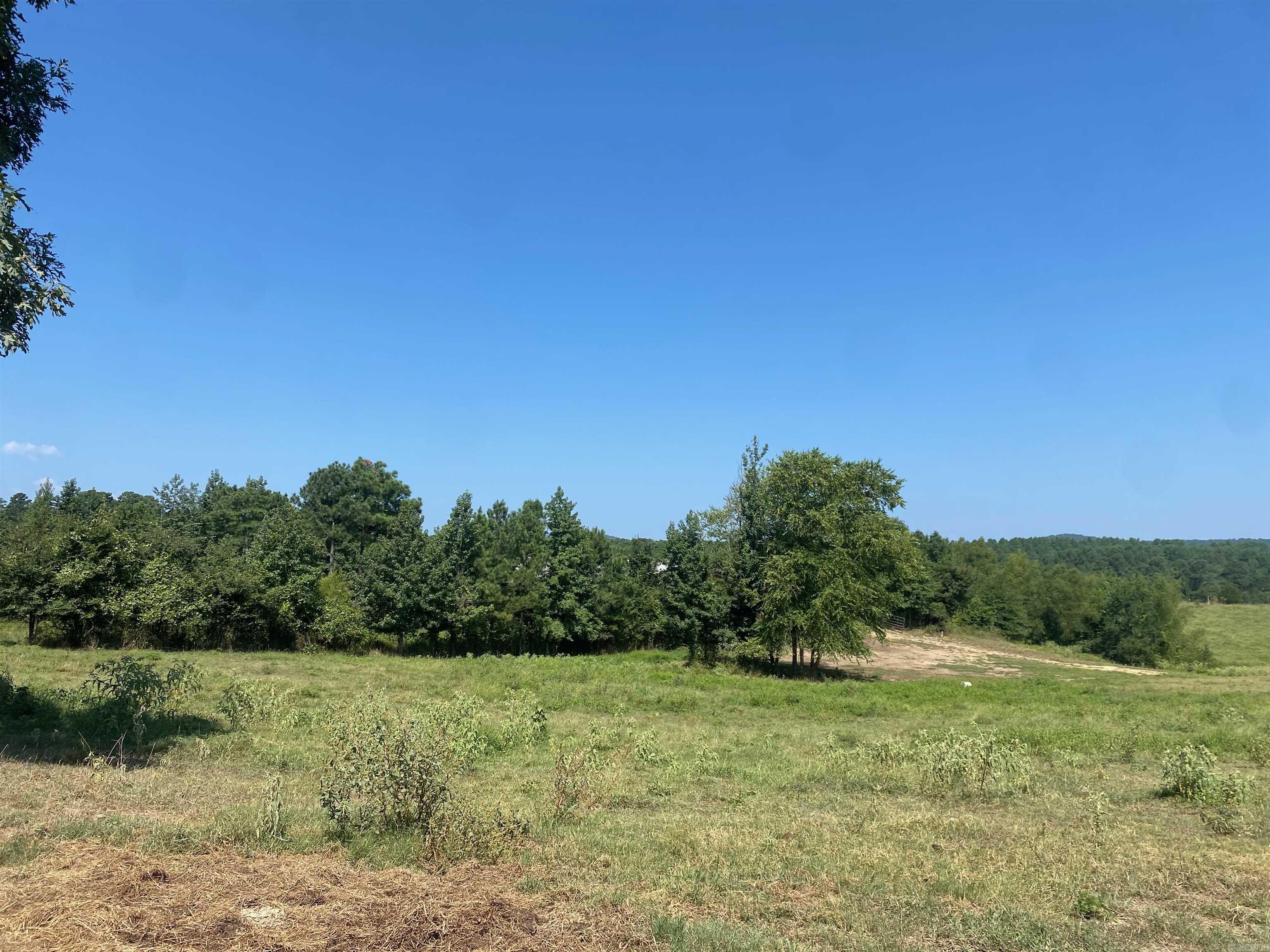 To Be Determine  Old Caddo Gap Road  Bonnerdale, AR