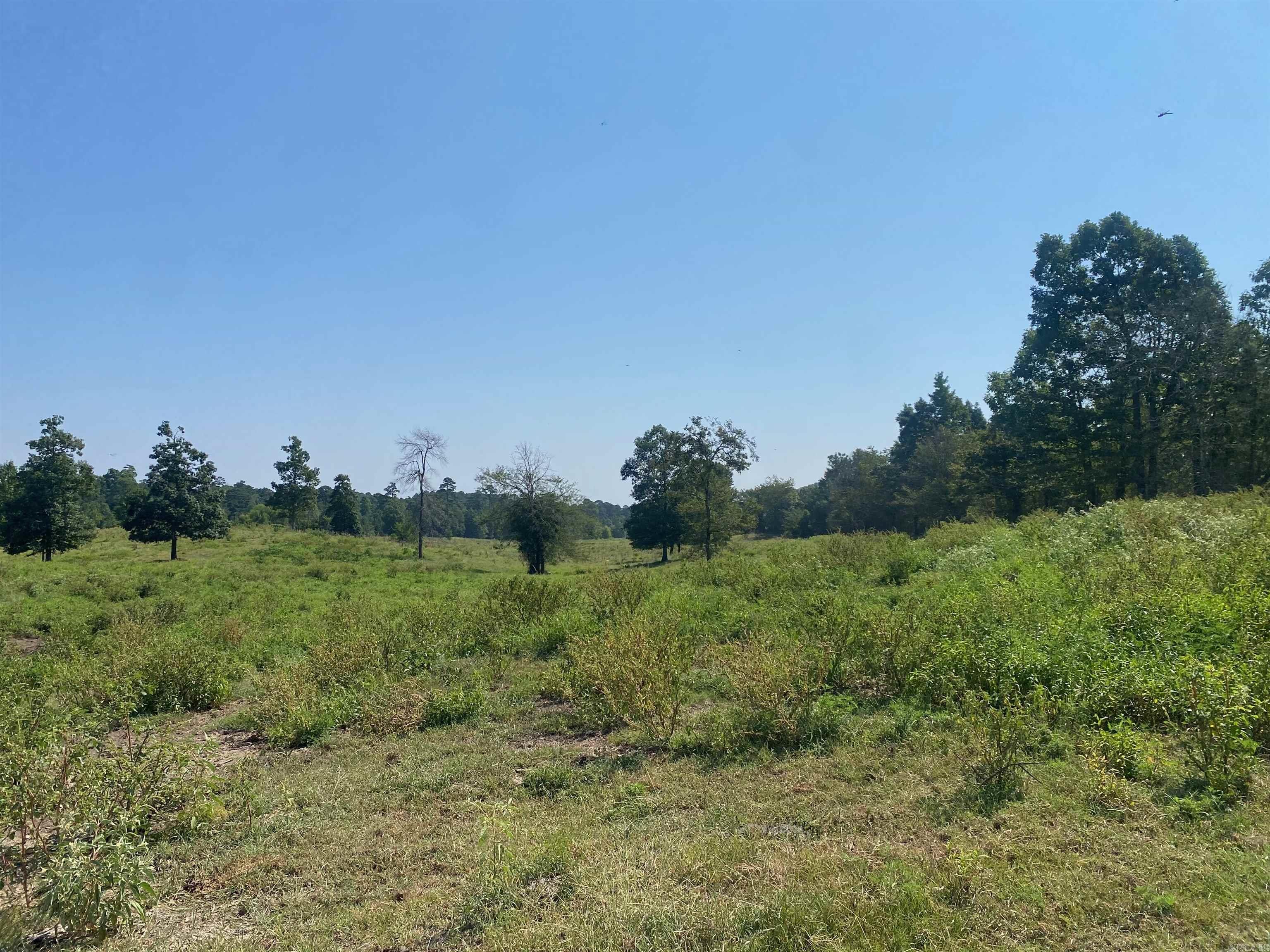 To Be Determine  Old Caddo Gap Road  Bonnerdale, AR