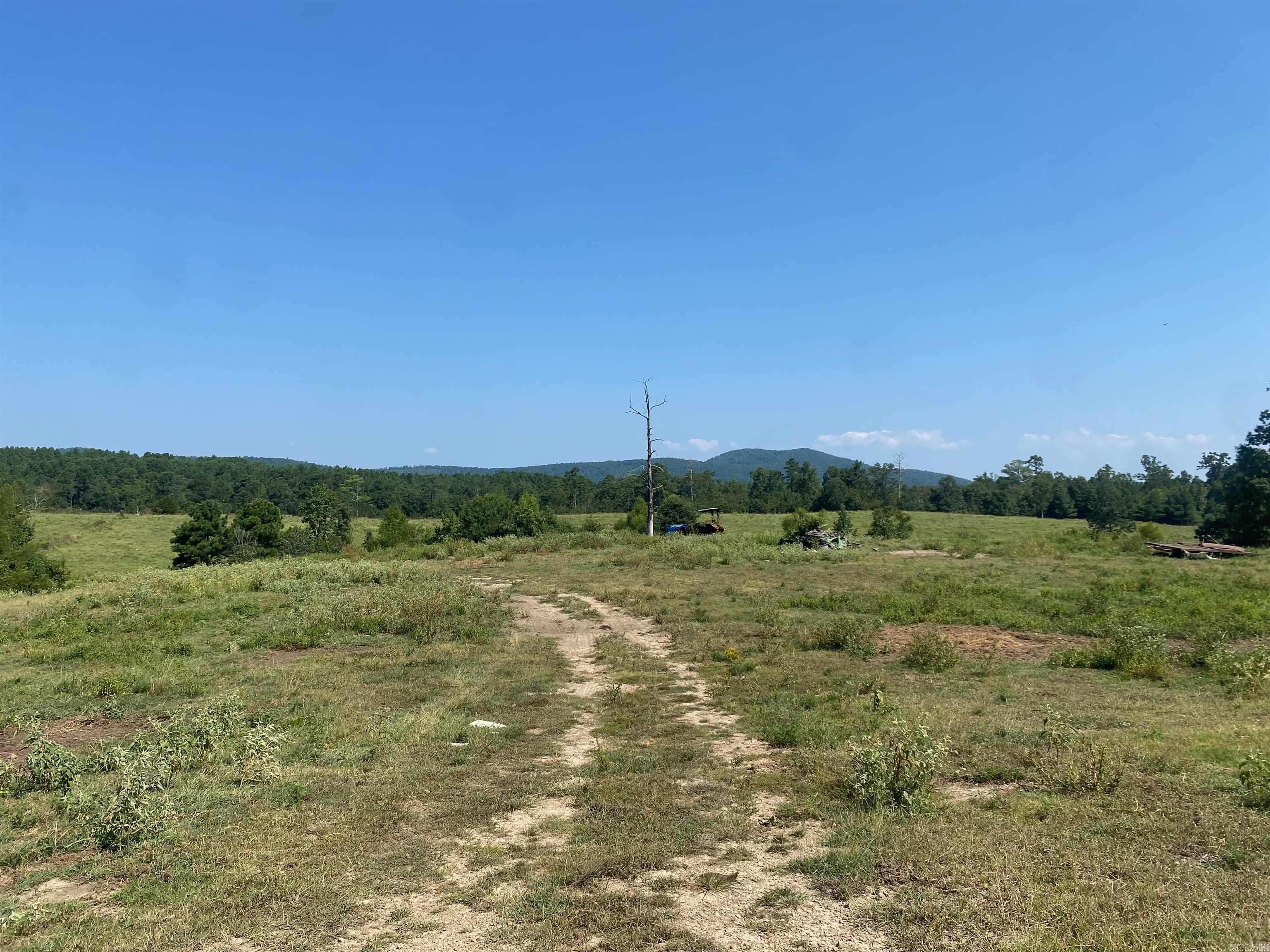 To Be Determine  Old Caddo Gap Road  Bonnerdale, AR
