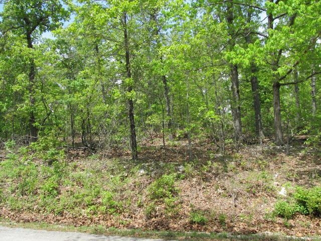 0000  Gin Mill  Ash Flat, AR