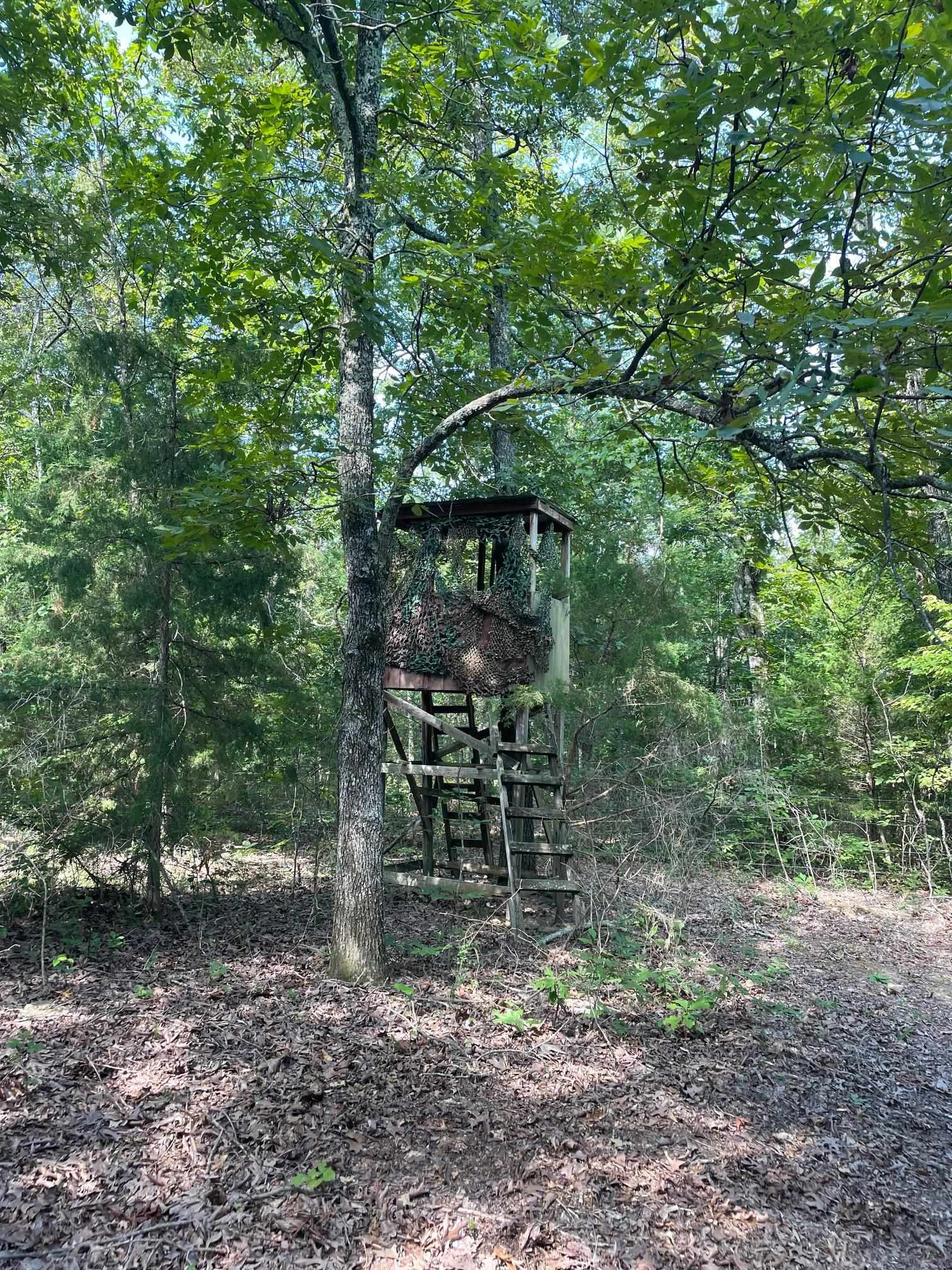 768  Rocky Hill Trail  Mammoth Spring, AR