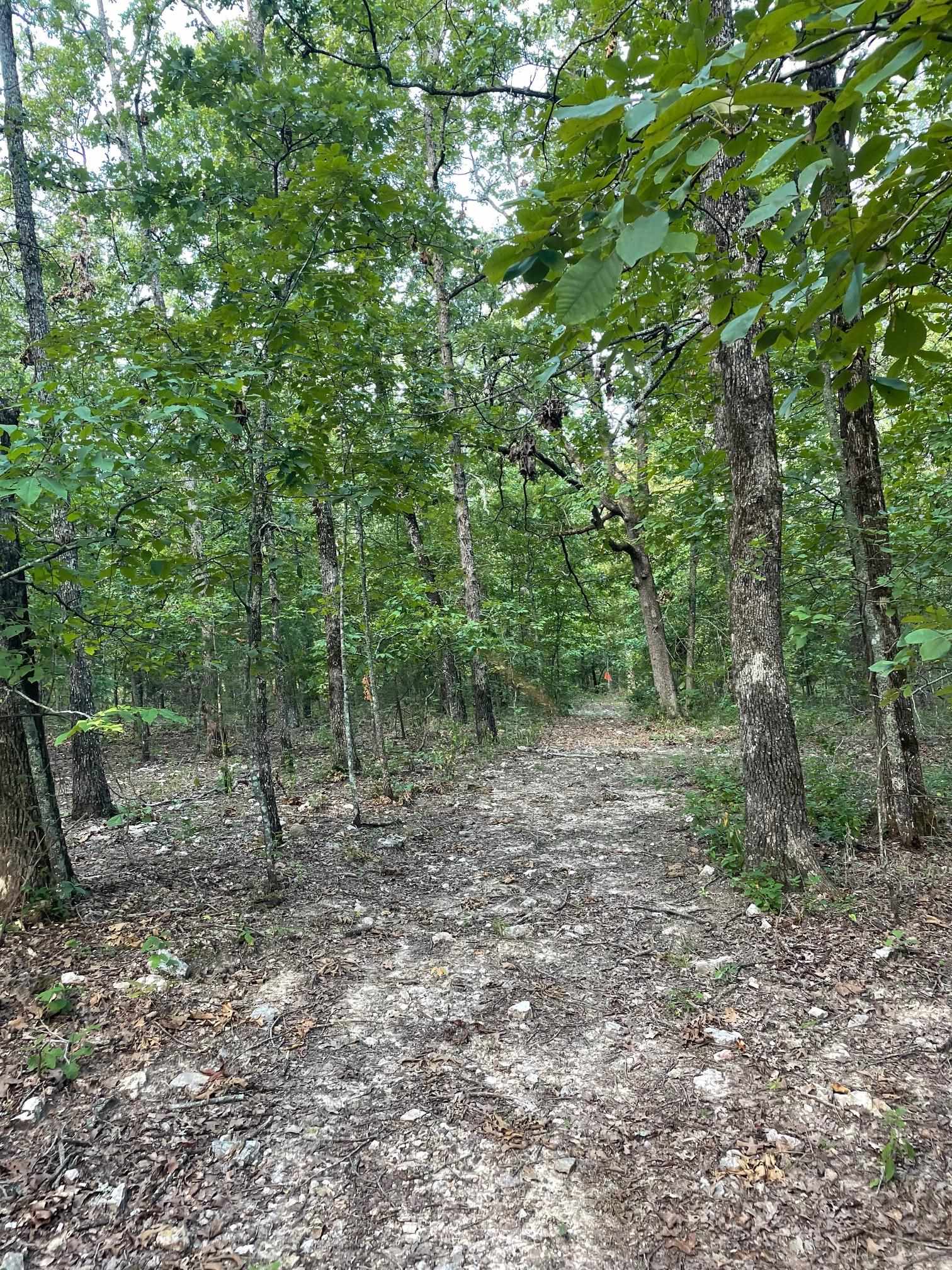 768  Rocky Hill Trail  Mammoth Spring, AR