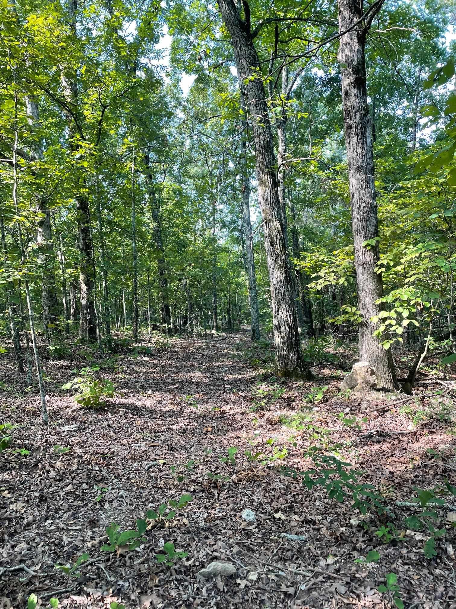 768  Rocky Hill Trail  Mammoth Spring, AR