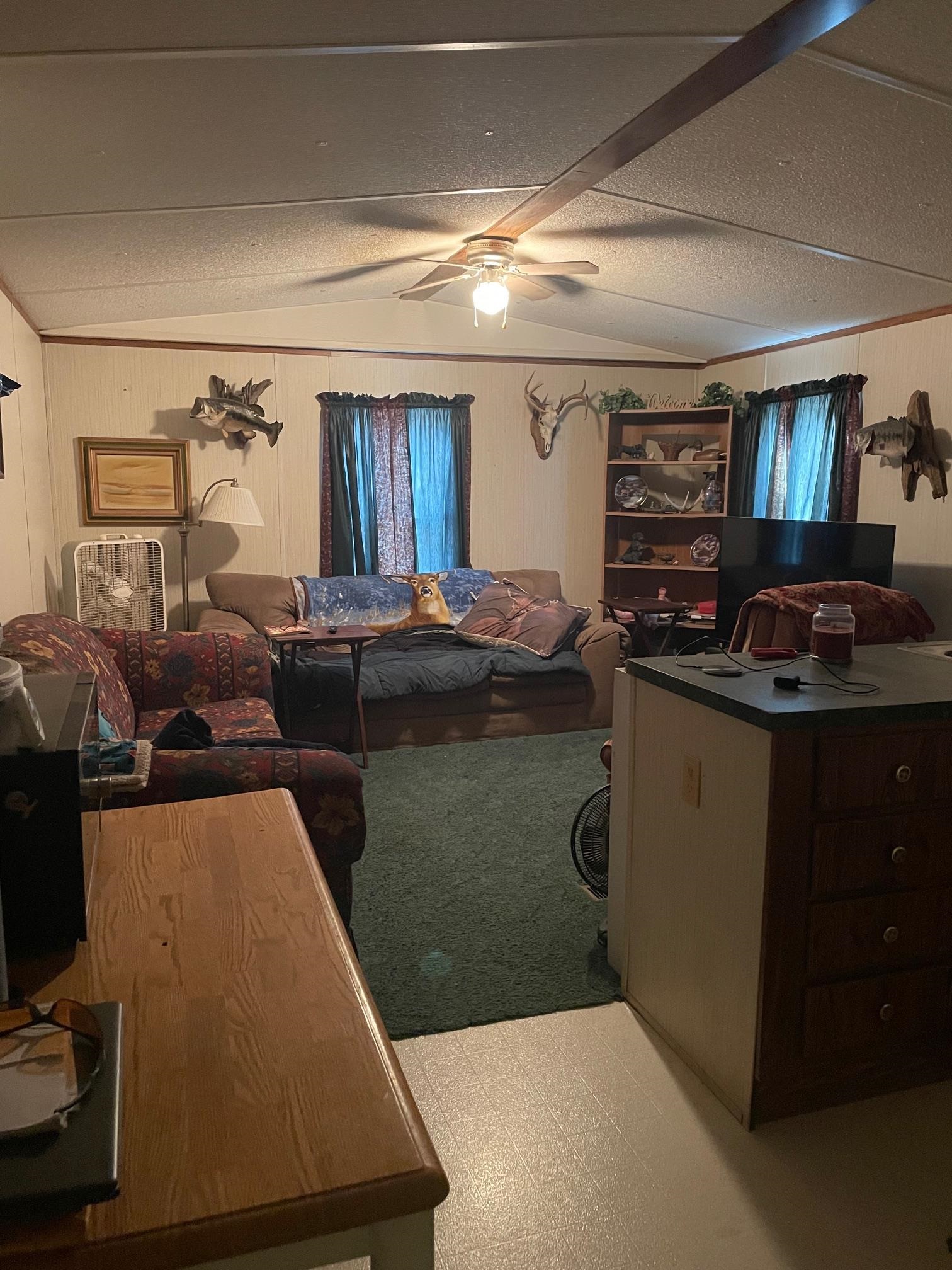 768  Rocky Hill Trail  Mammoth Spring, AR