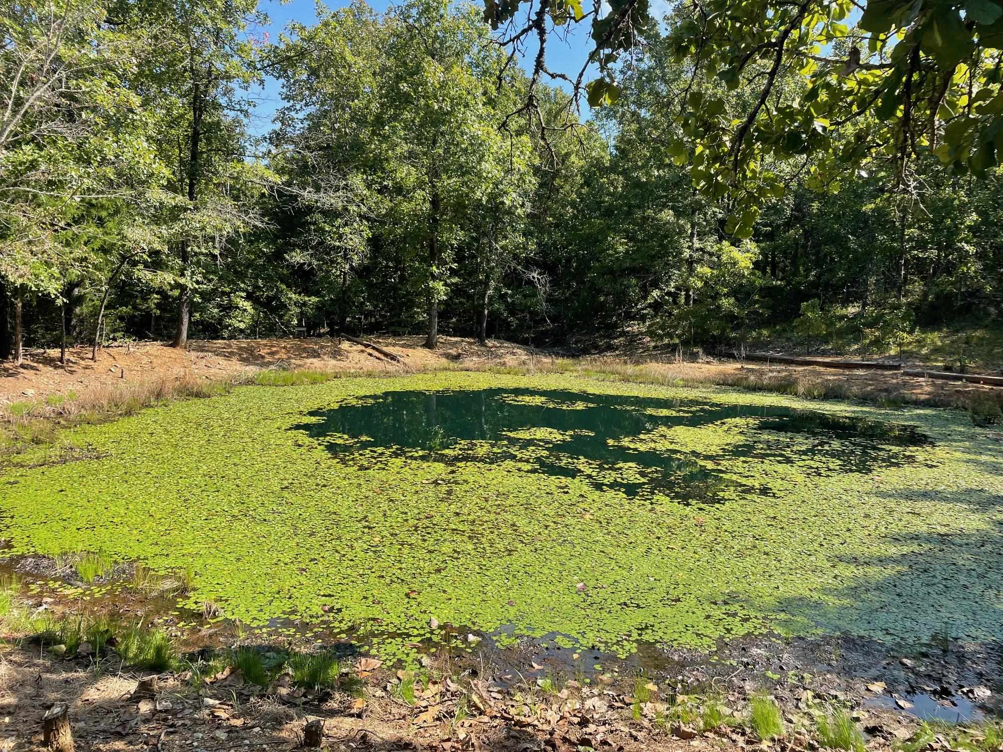 768  Rocky Hill Trail  Mammoth Spring, AR