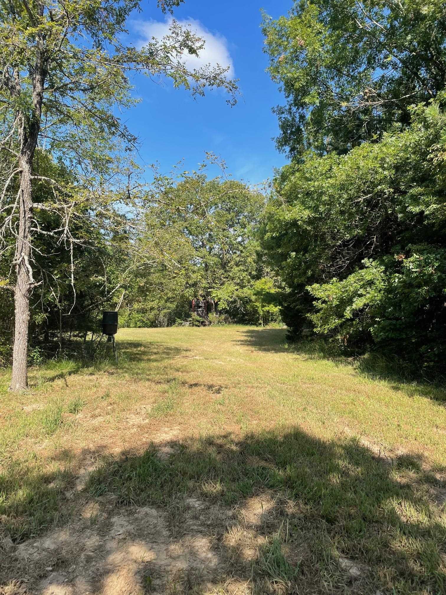 768  Rocky Hill Trail  Mammoth Spring, AR