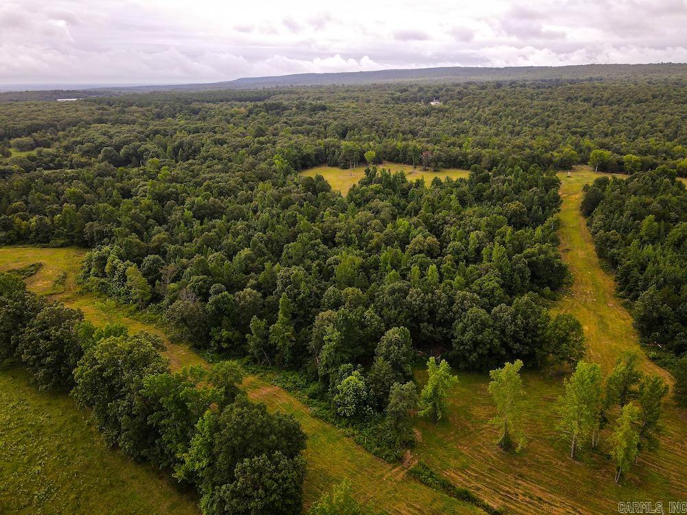 N/A  Departee Creek Lane  Thida, AR