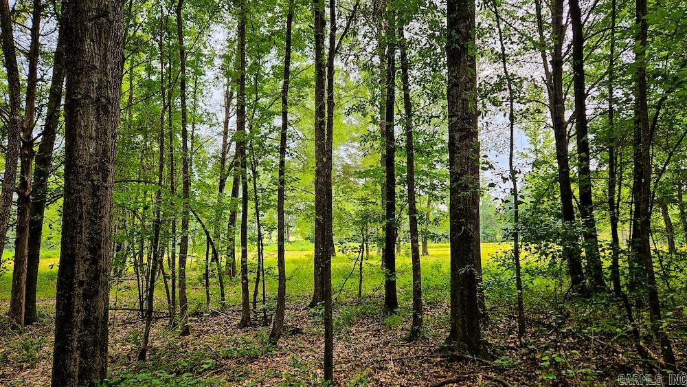 N/A  Departee Creek Lane  Thida, AR