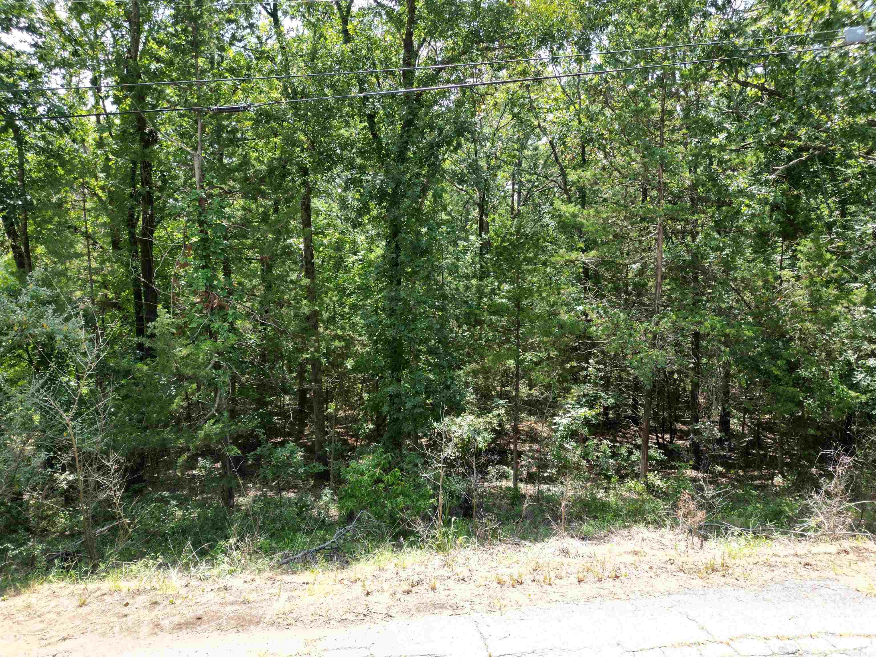 Lot 3  Woodland West  Heber Springs, AR