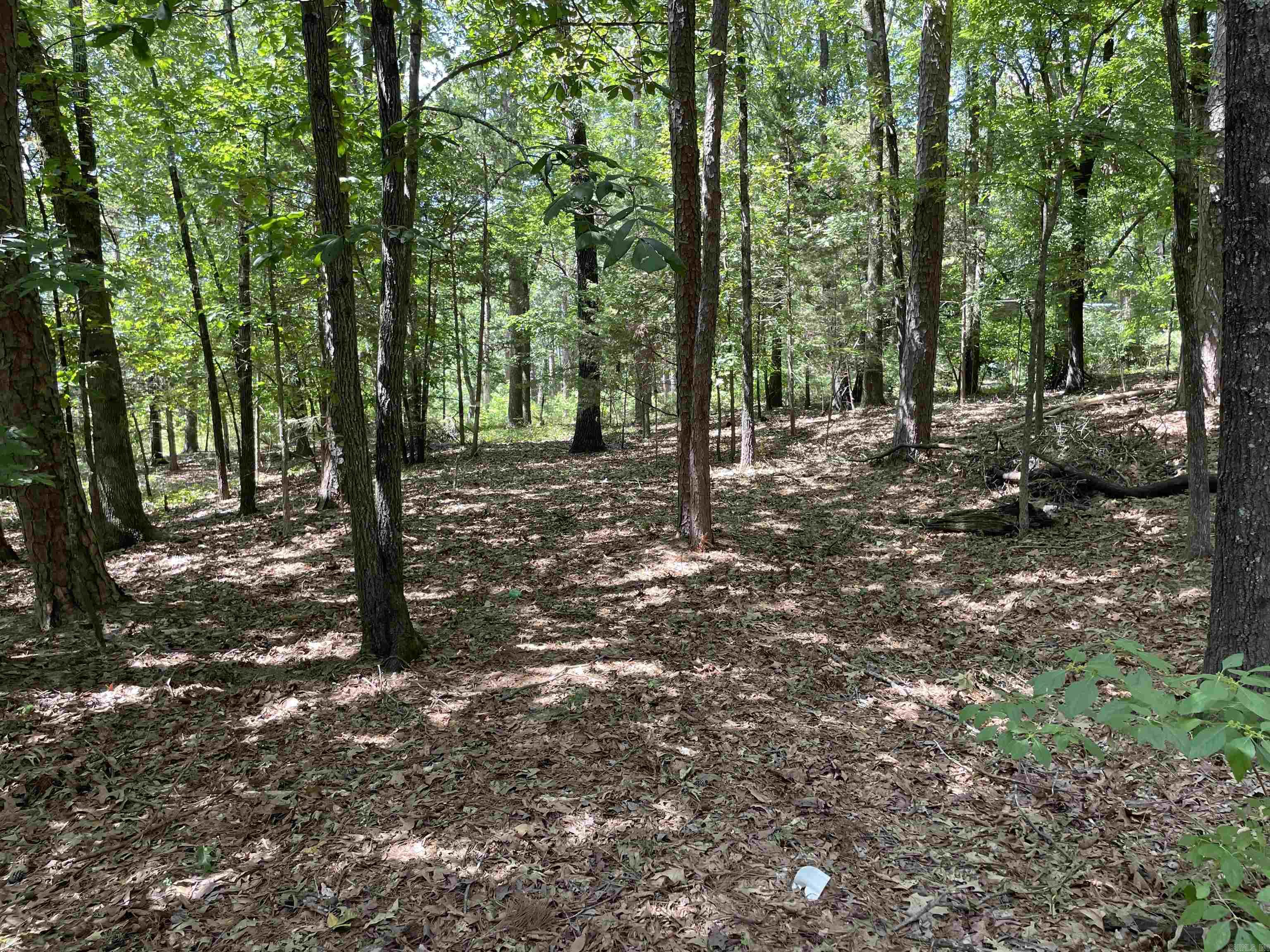 Lot 3  Woodland West  Heber Springs, AR