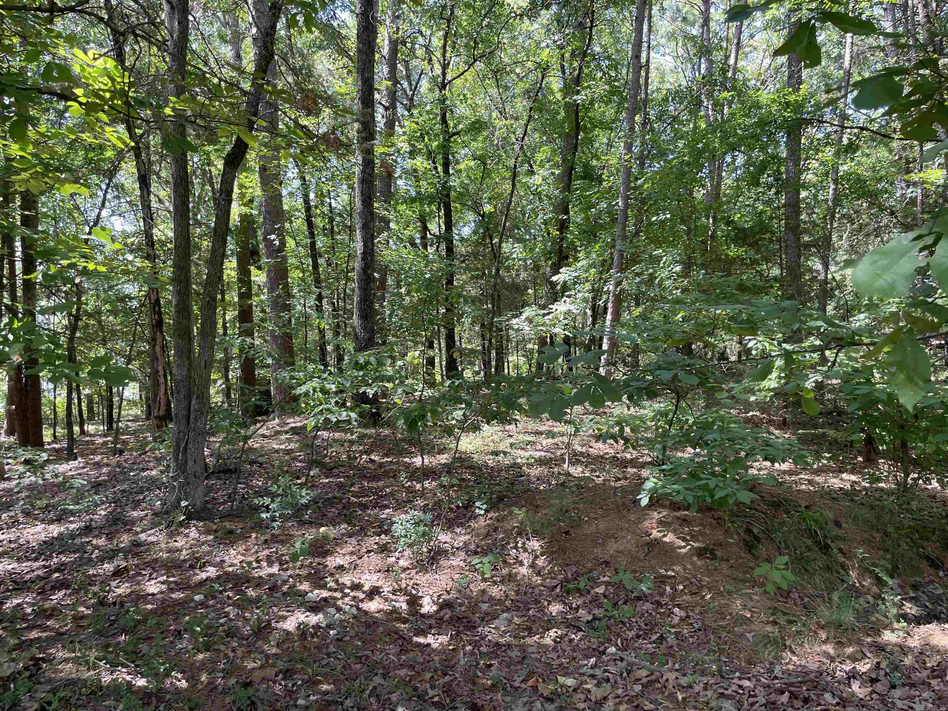 Lot 3  Woodland West  Heber Springs, AR