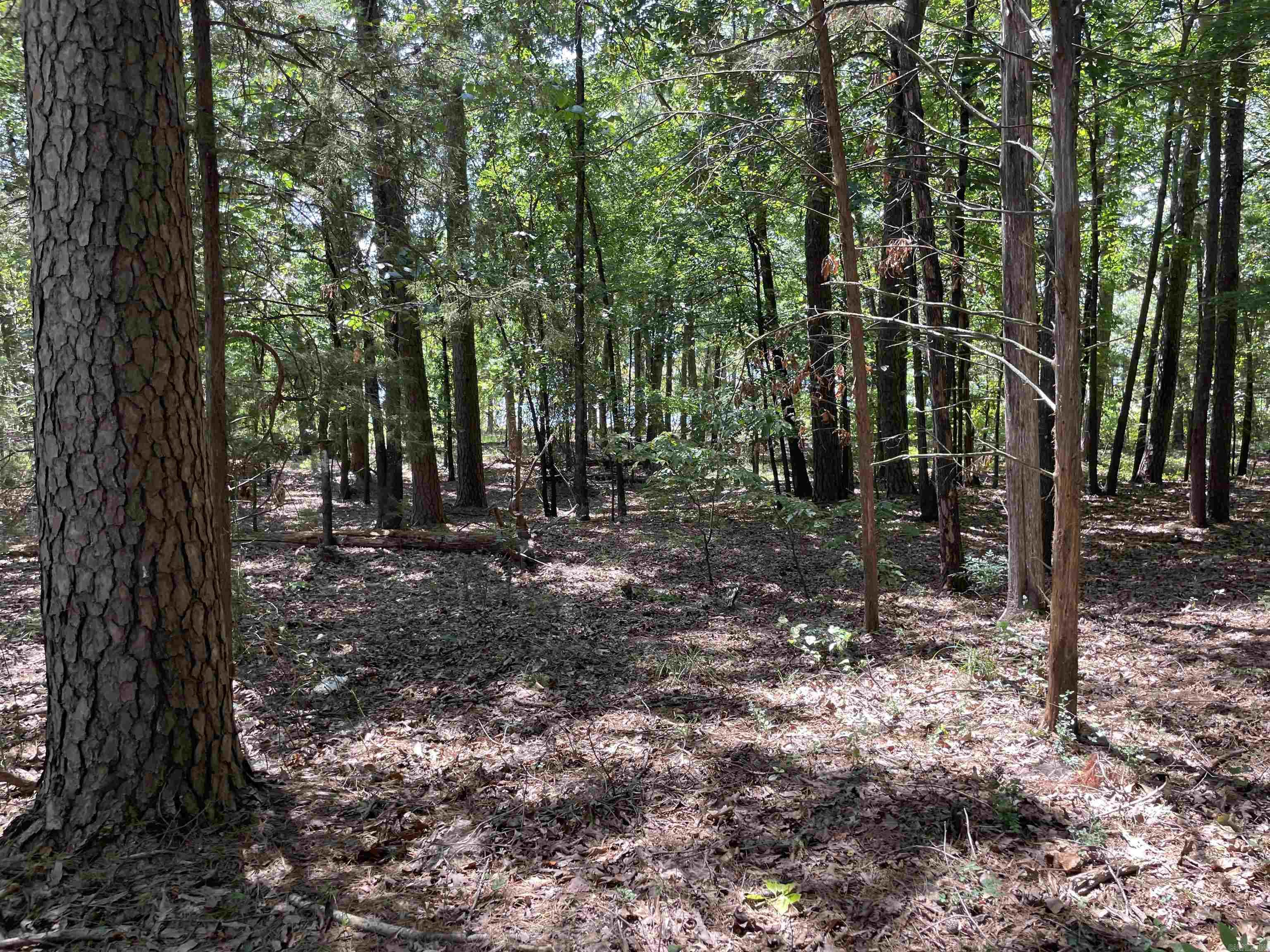 Lot 3  Woodland West  Heber Springs, AR