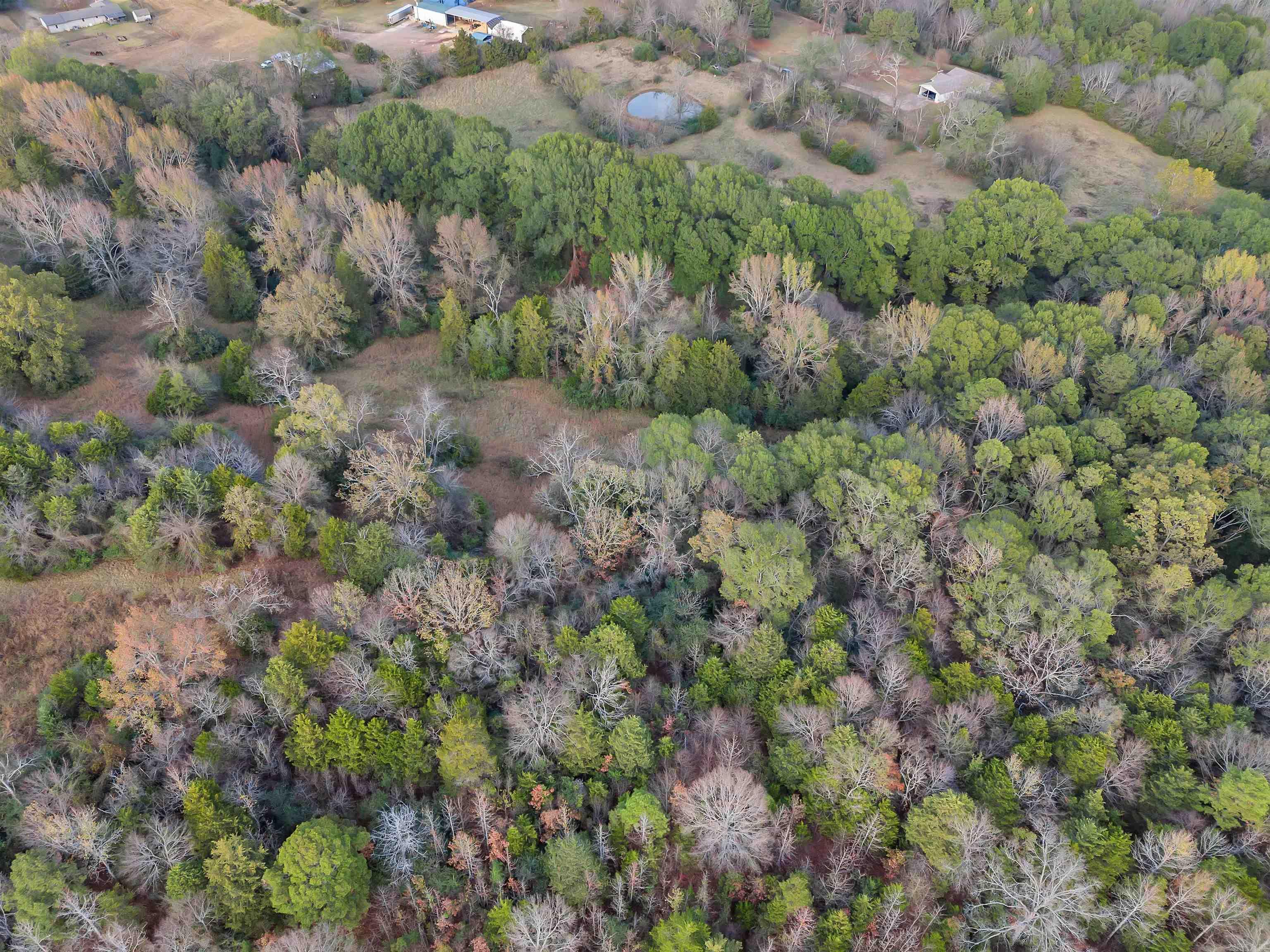 000  Hwy 113  Morrilton, AR