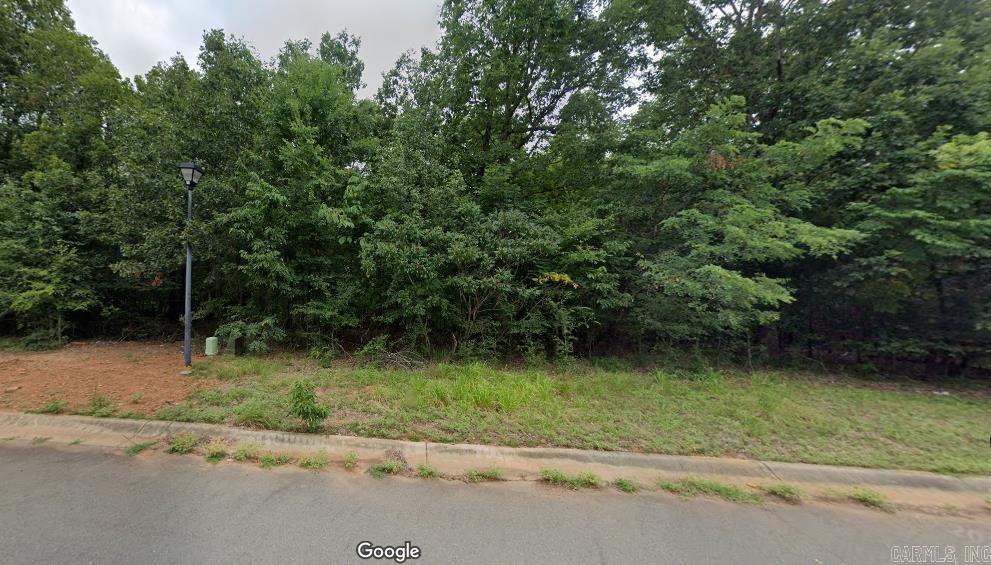 14  Summit View  Alexander, AR