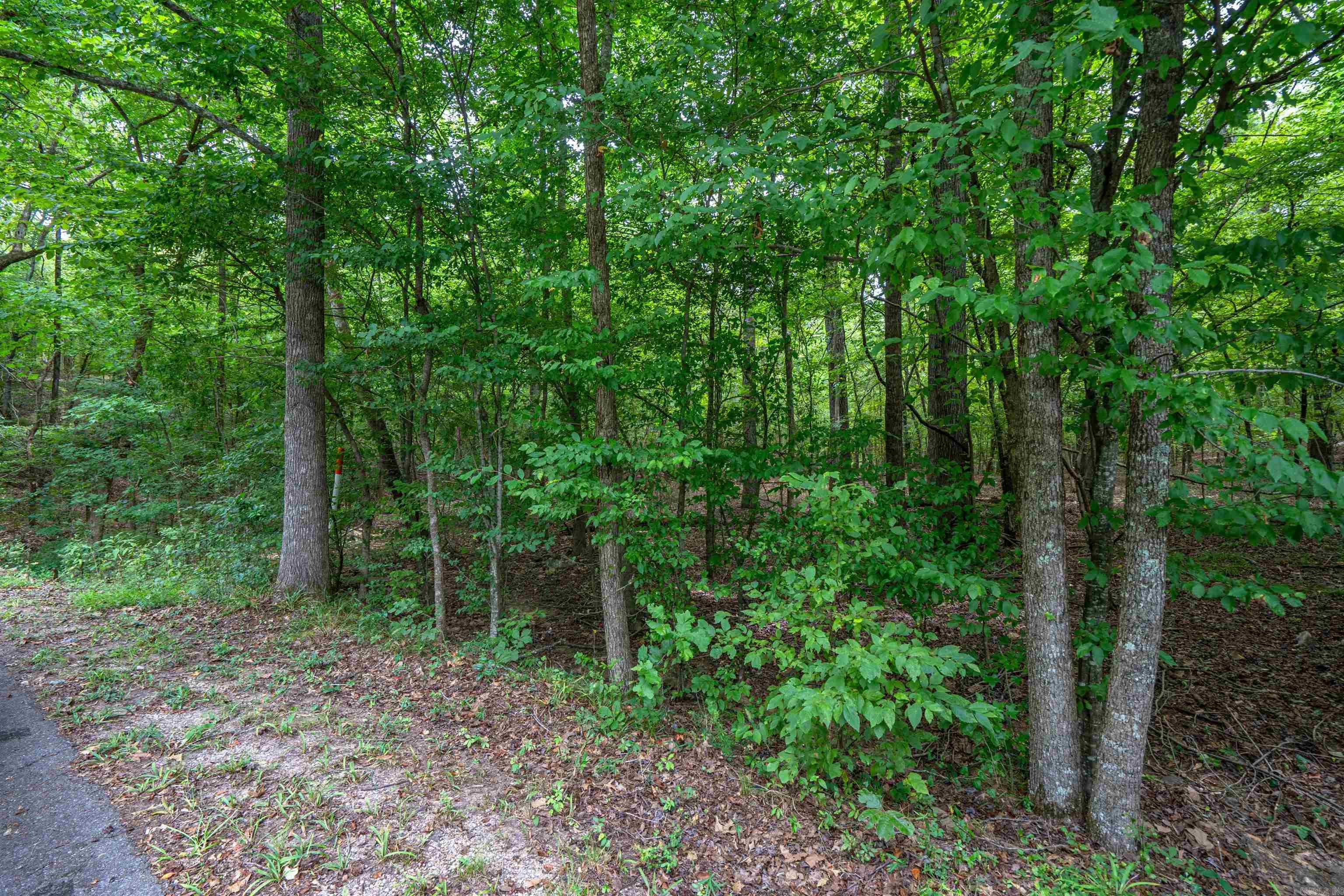 Lot 31  Deer Run  Malvern, AR
