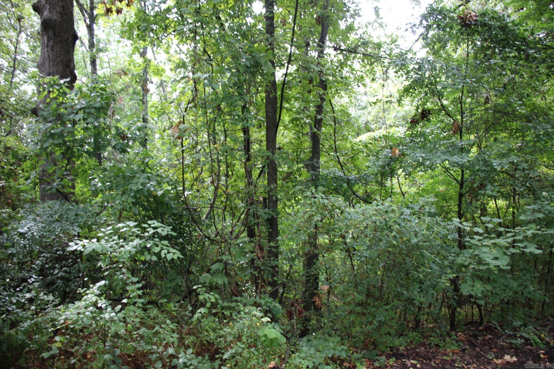 790-00540-008 S Maplewood  Summit, AR