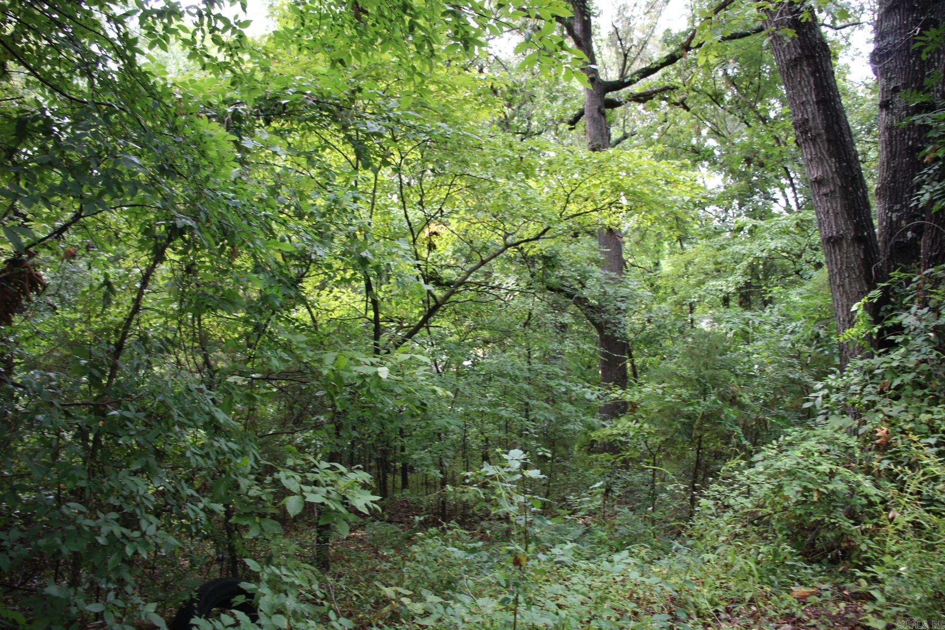 790-00540-008 S Maplewood  Summit, AR