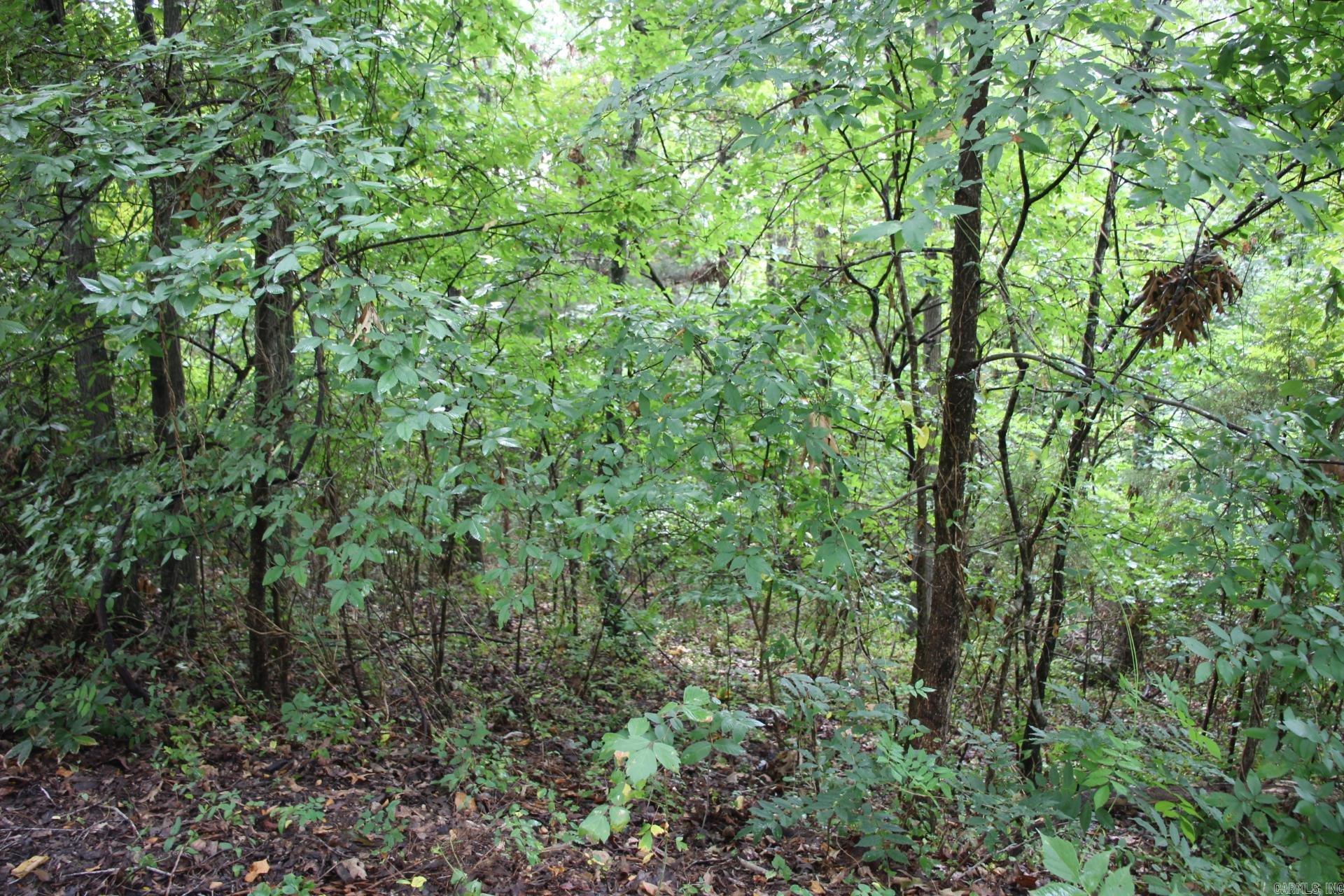 790-00540-008 S Maplewood  Summit, AR