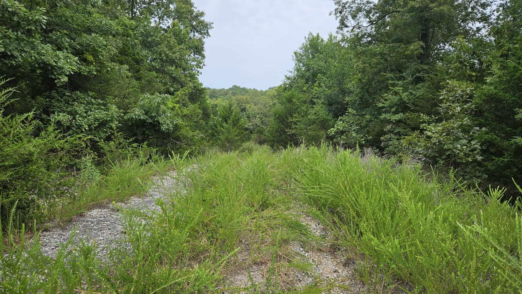 102 N Mother Lode  Horseshoe Bend, AR