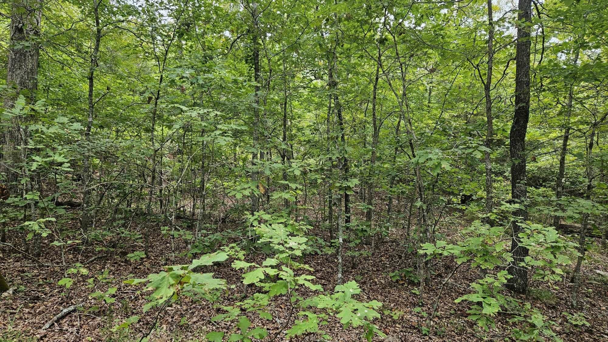 102 N Mother Lode  Horseshoe Bend, AR