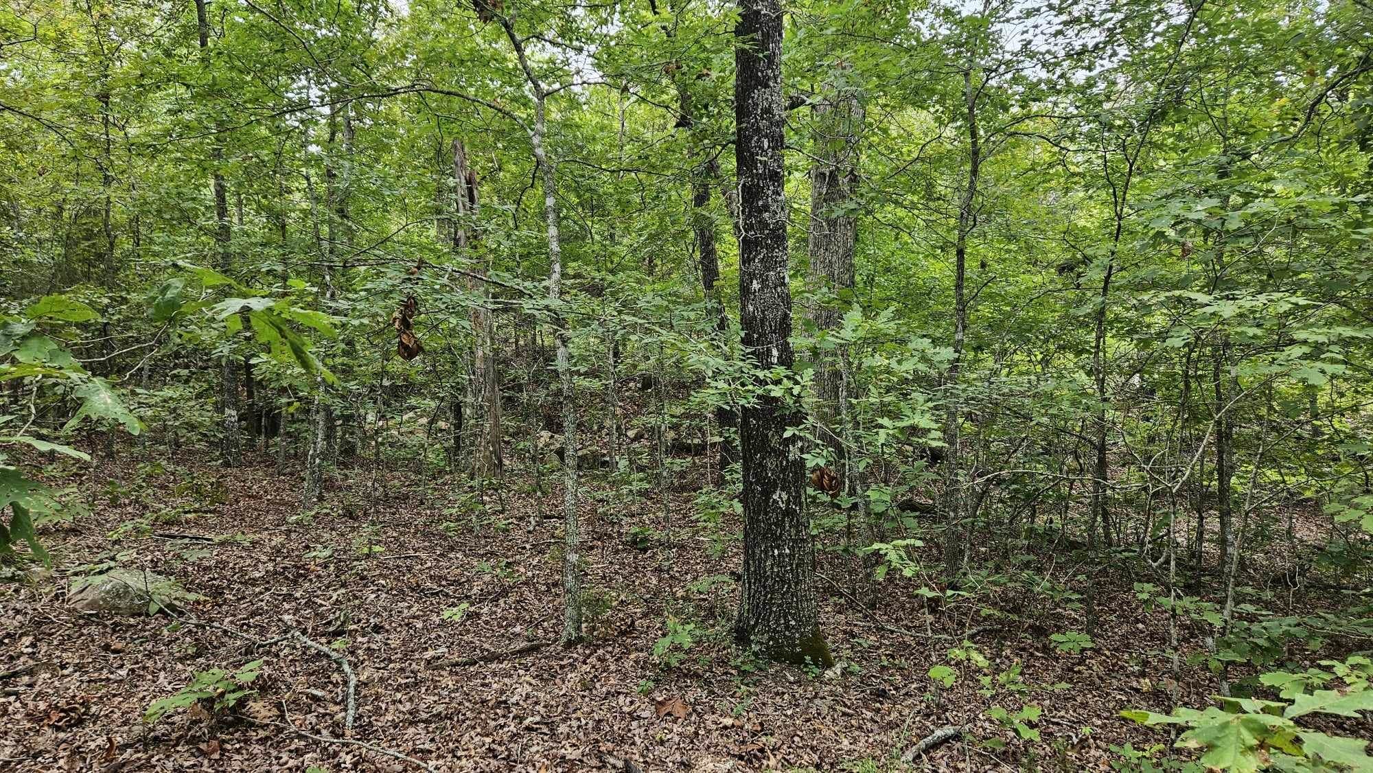 102 N Mother Lode  Horseshoe Bend, AR