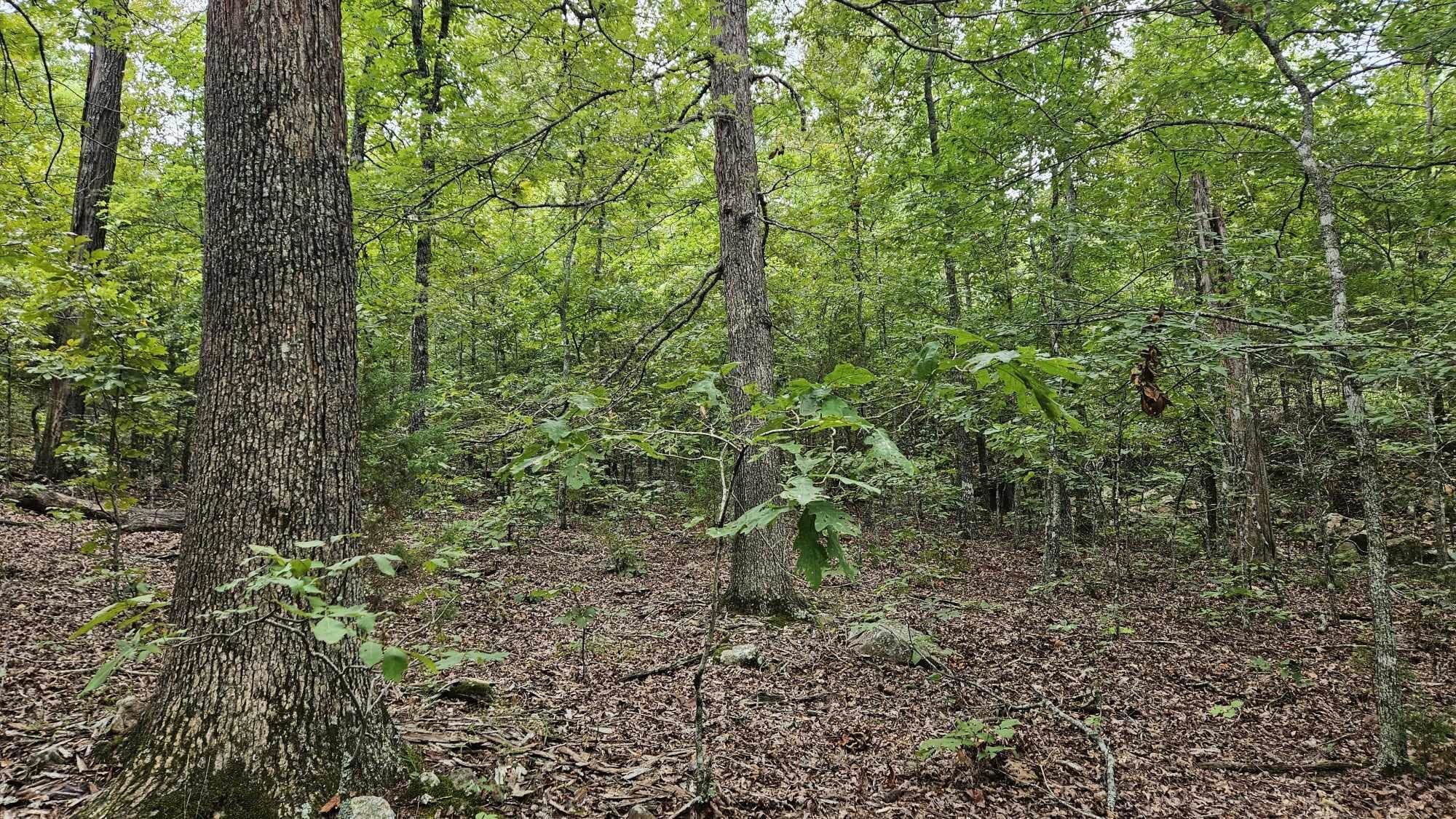 102 N Mother Lode  Horseshoe Bend, AR