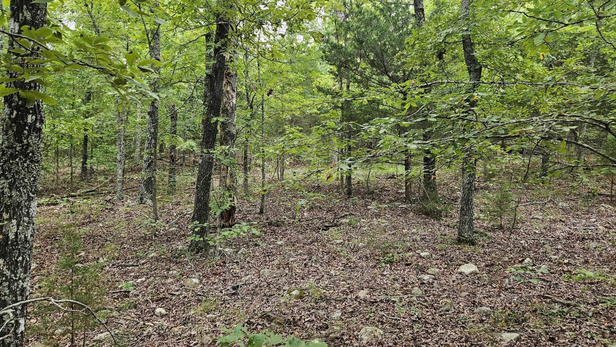 102 N Mother Lode  Horseshoe Bend, AR