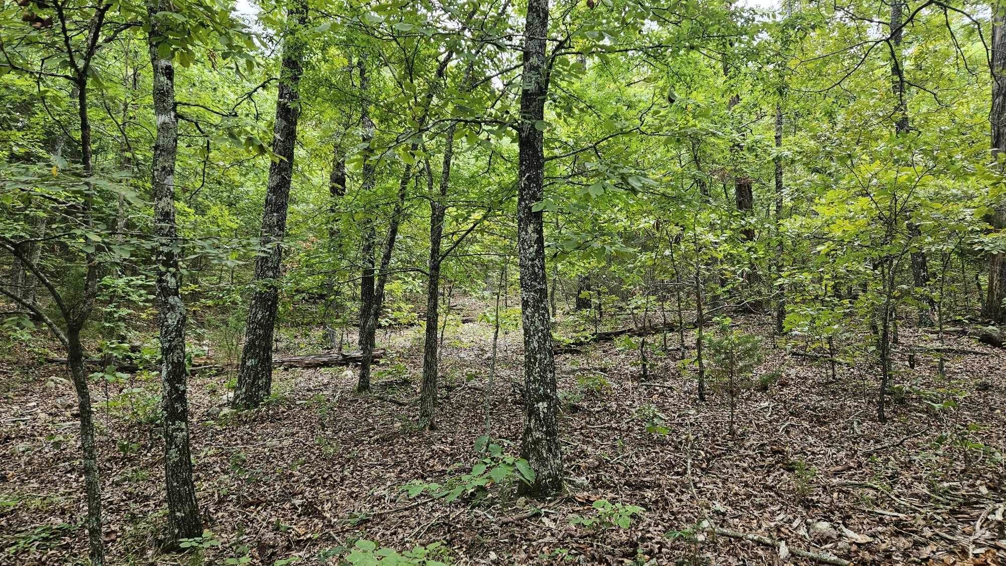 102 N Mother Lode  Horseshoe Bend, AR