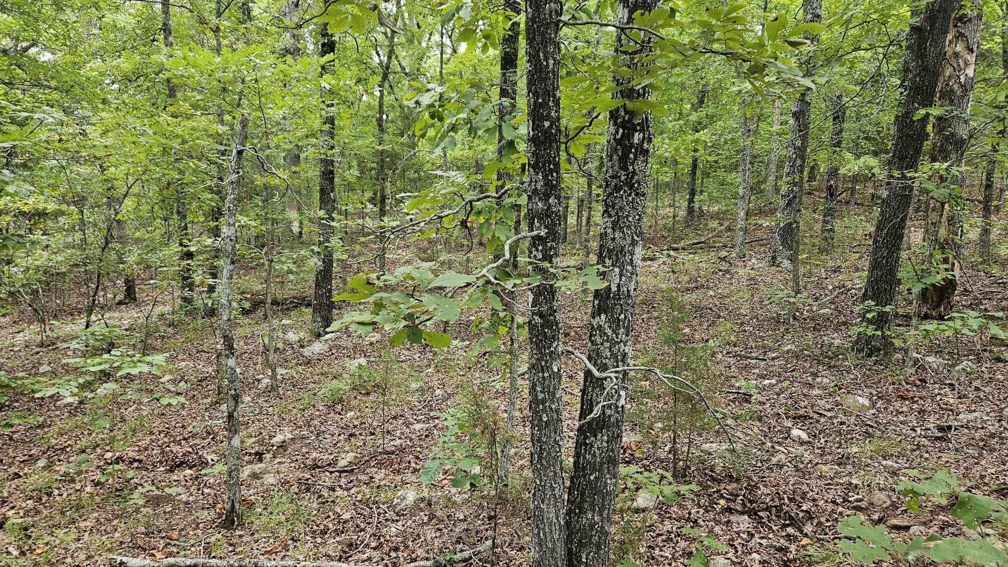 102 N Mother Lode  Horseshoe Bend, AR