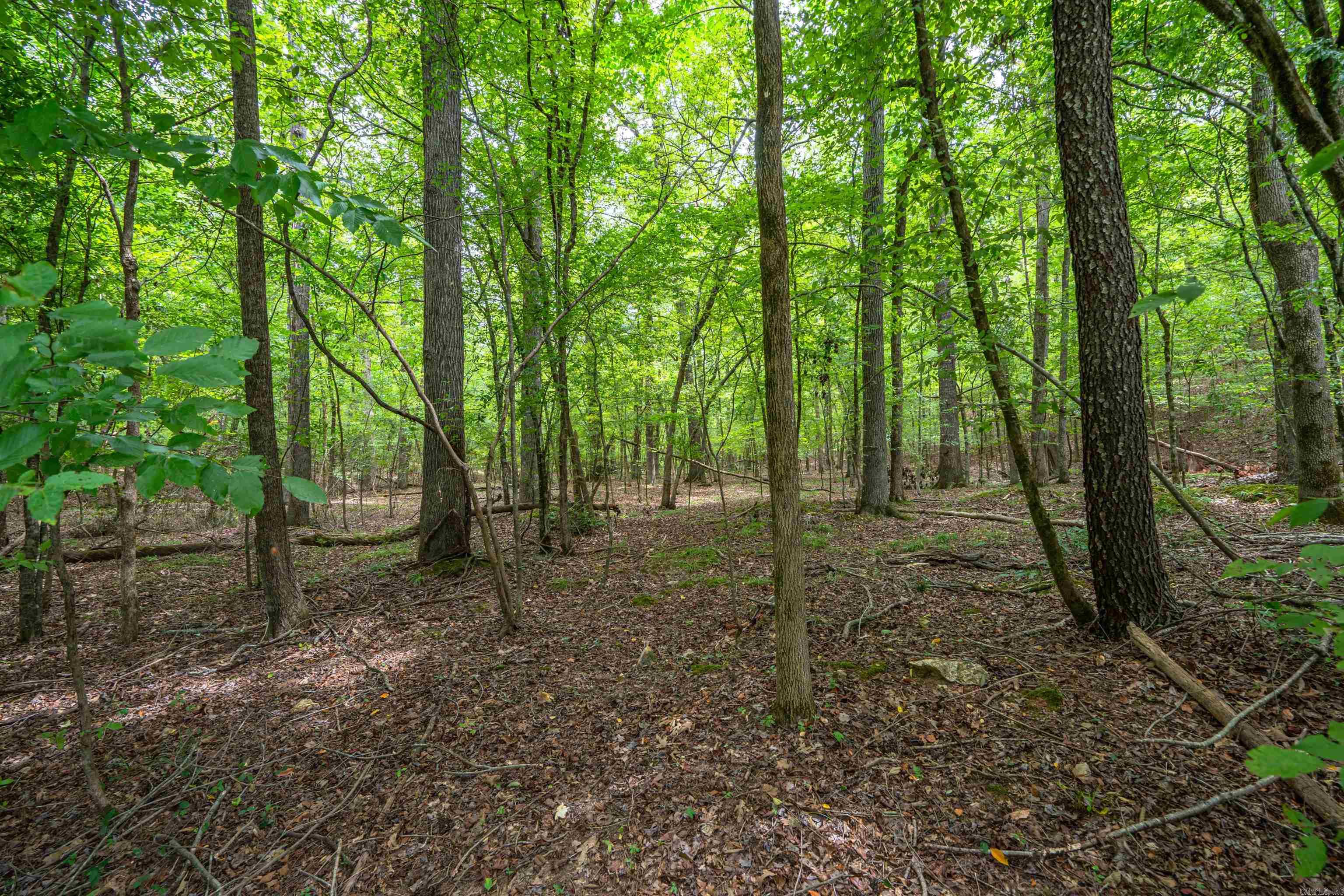 Lot 38  Fox Run  Malvern, AR