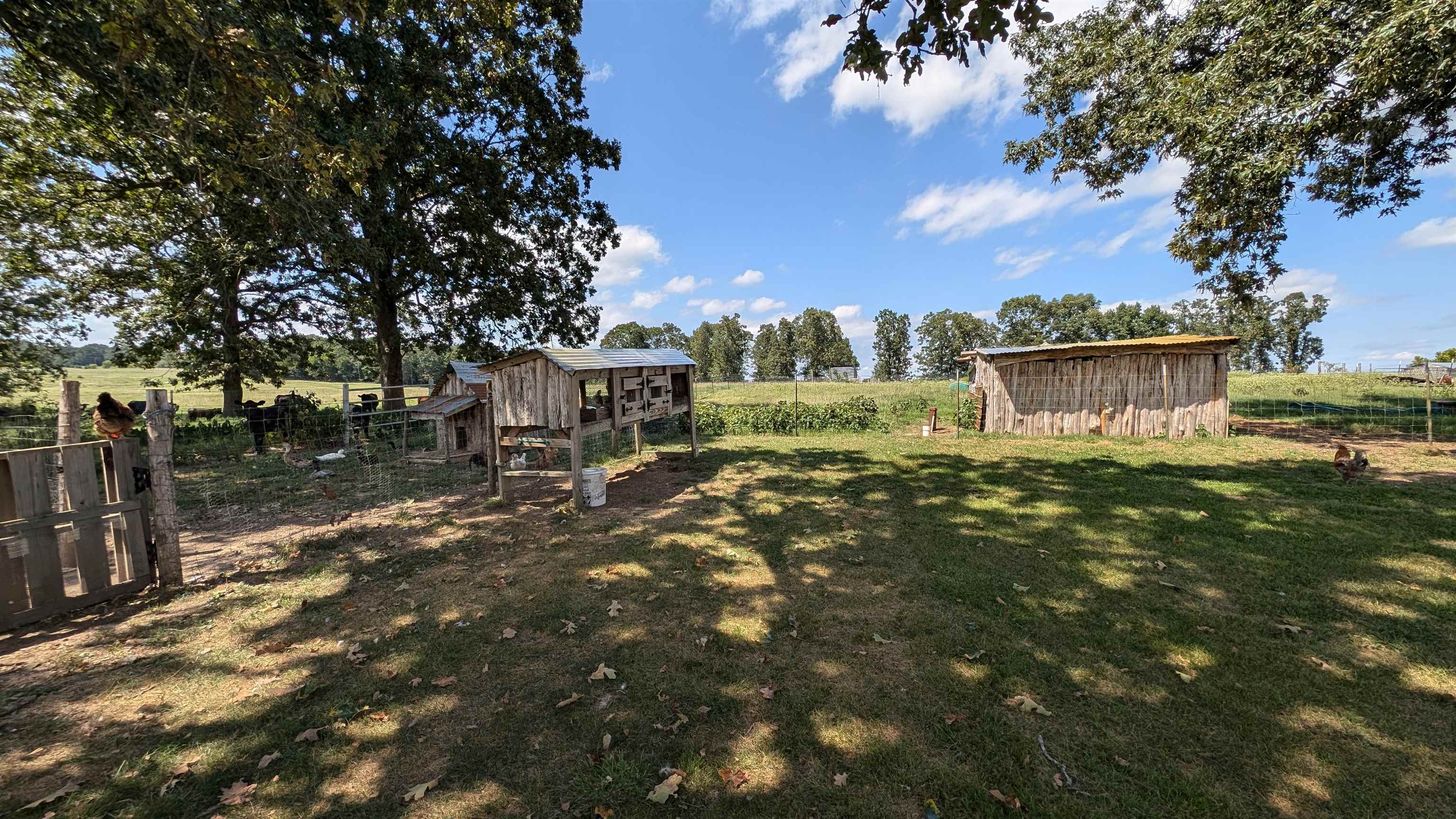 5146 N 9  Salem, AR