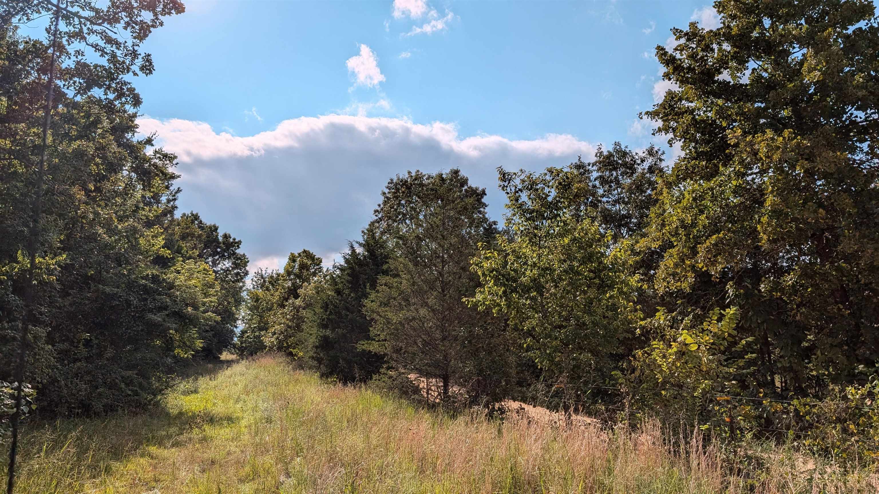 5146 N 9  Salem, AR