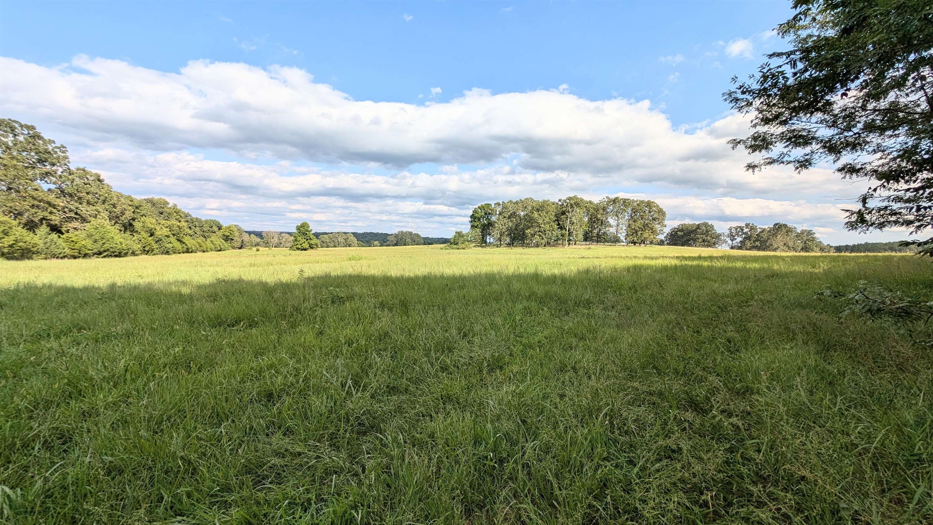 5146 N 9  Salem, AR