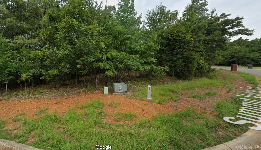 3  Summit View  Alexander, AR
