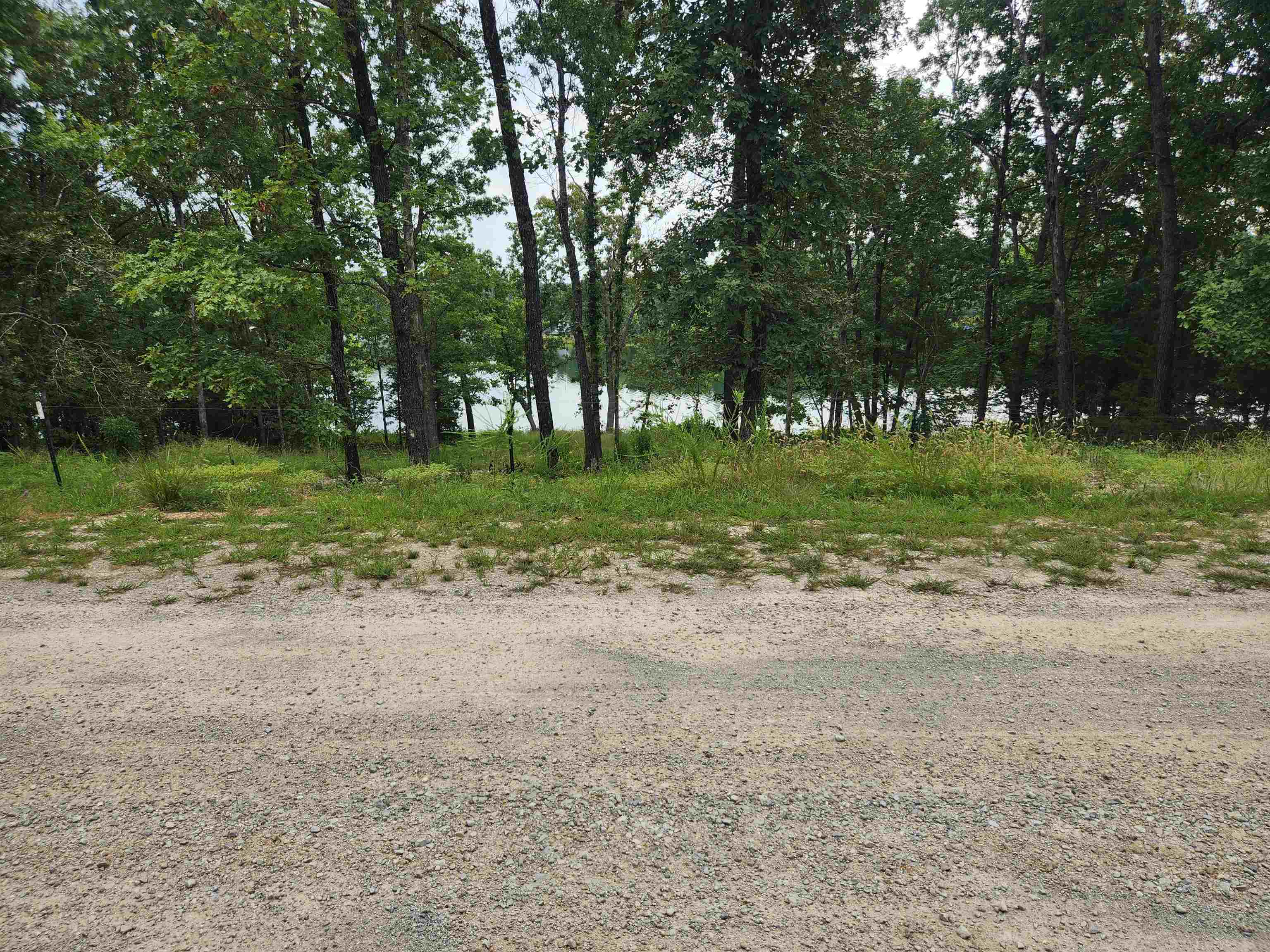 2206  Executive  Horseshoe Bend, AR