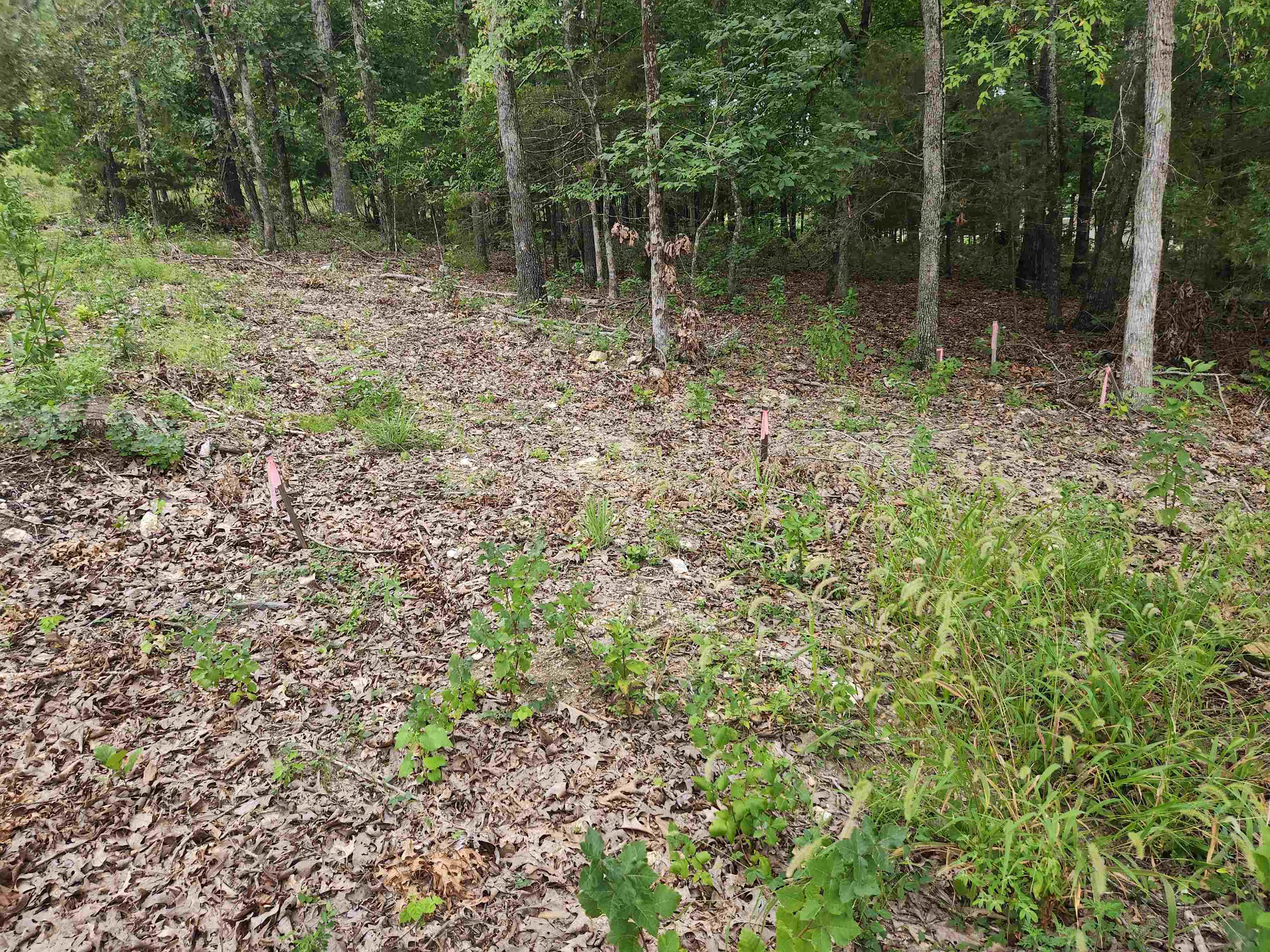 2206  Executive  Horseshoe Bend, AR