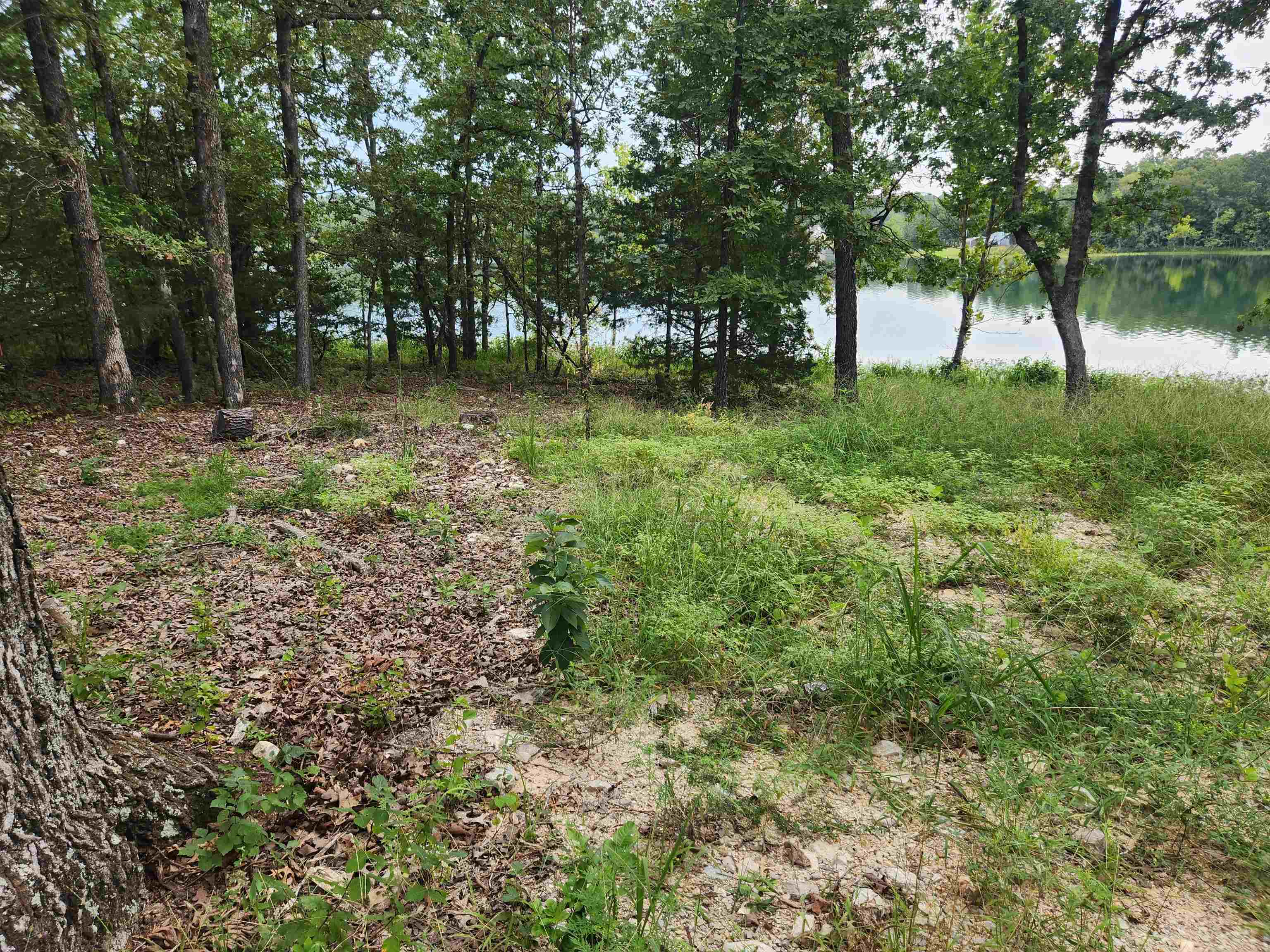 2206  Executive  Horseshoe Bend, AR
