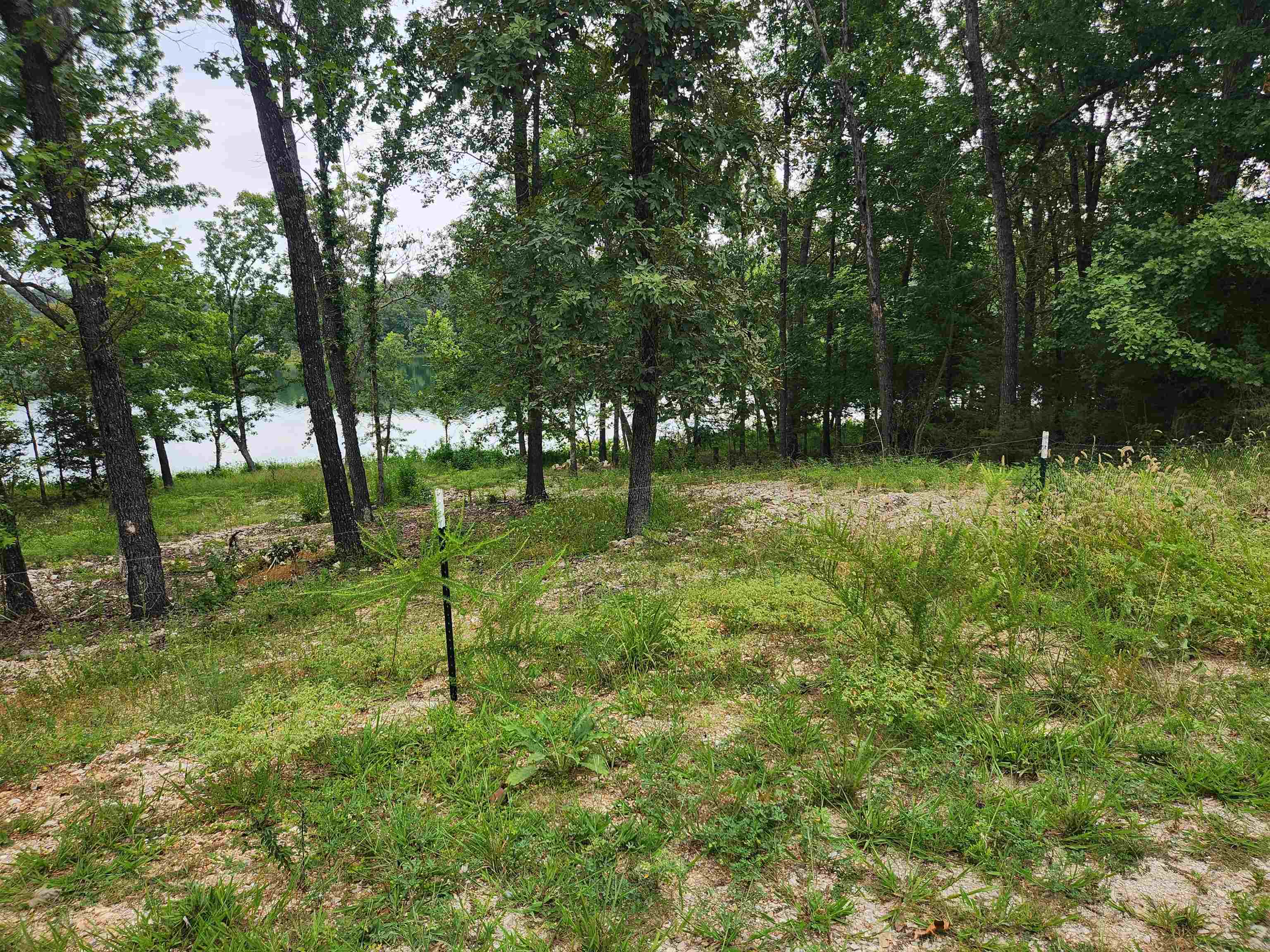 2206  Executive  Horseshoe Bend, AR