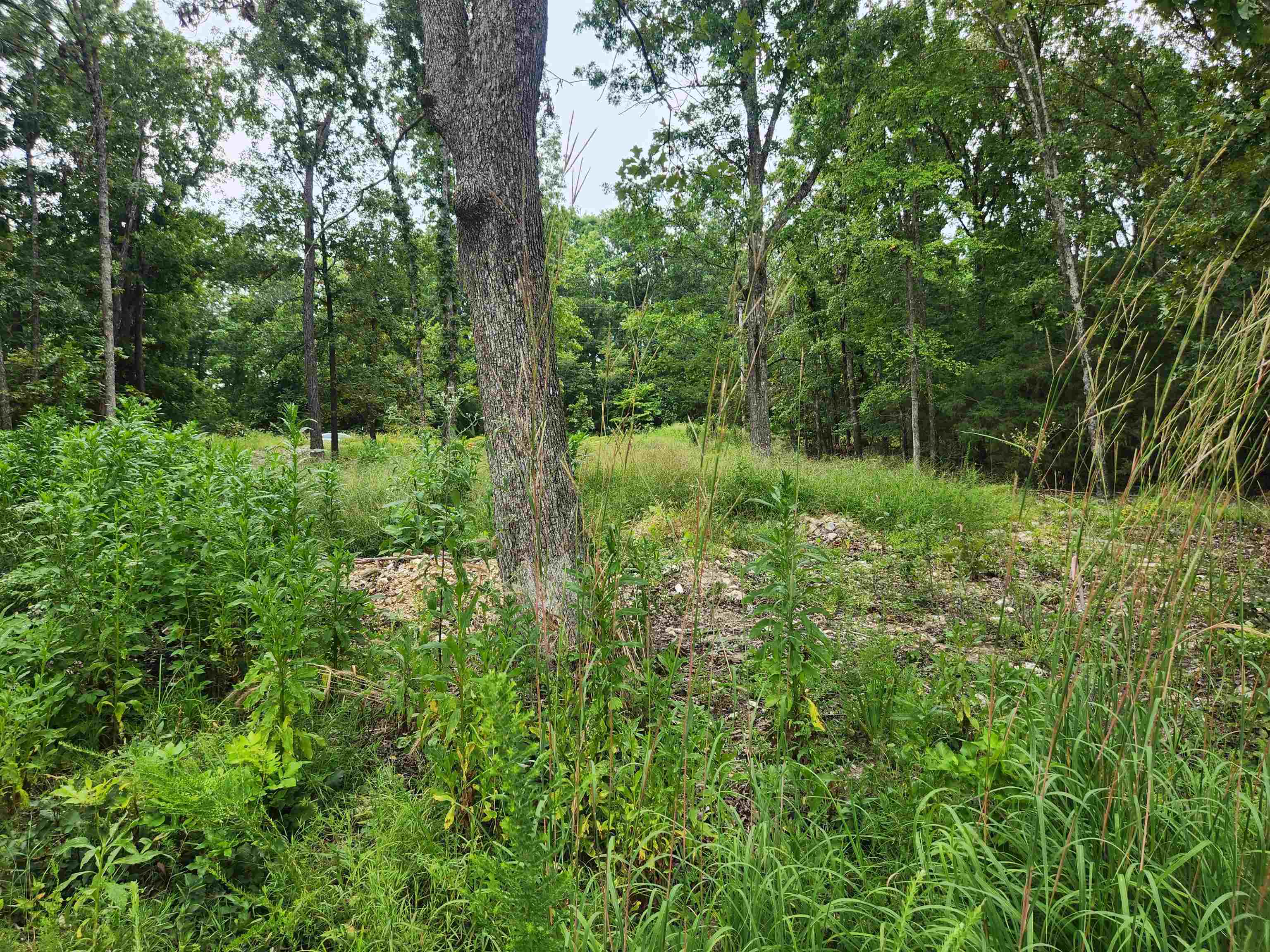 2206  Executive  Horseshoe Bend, AR