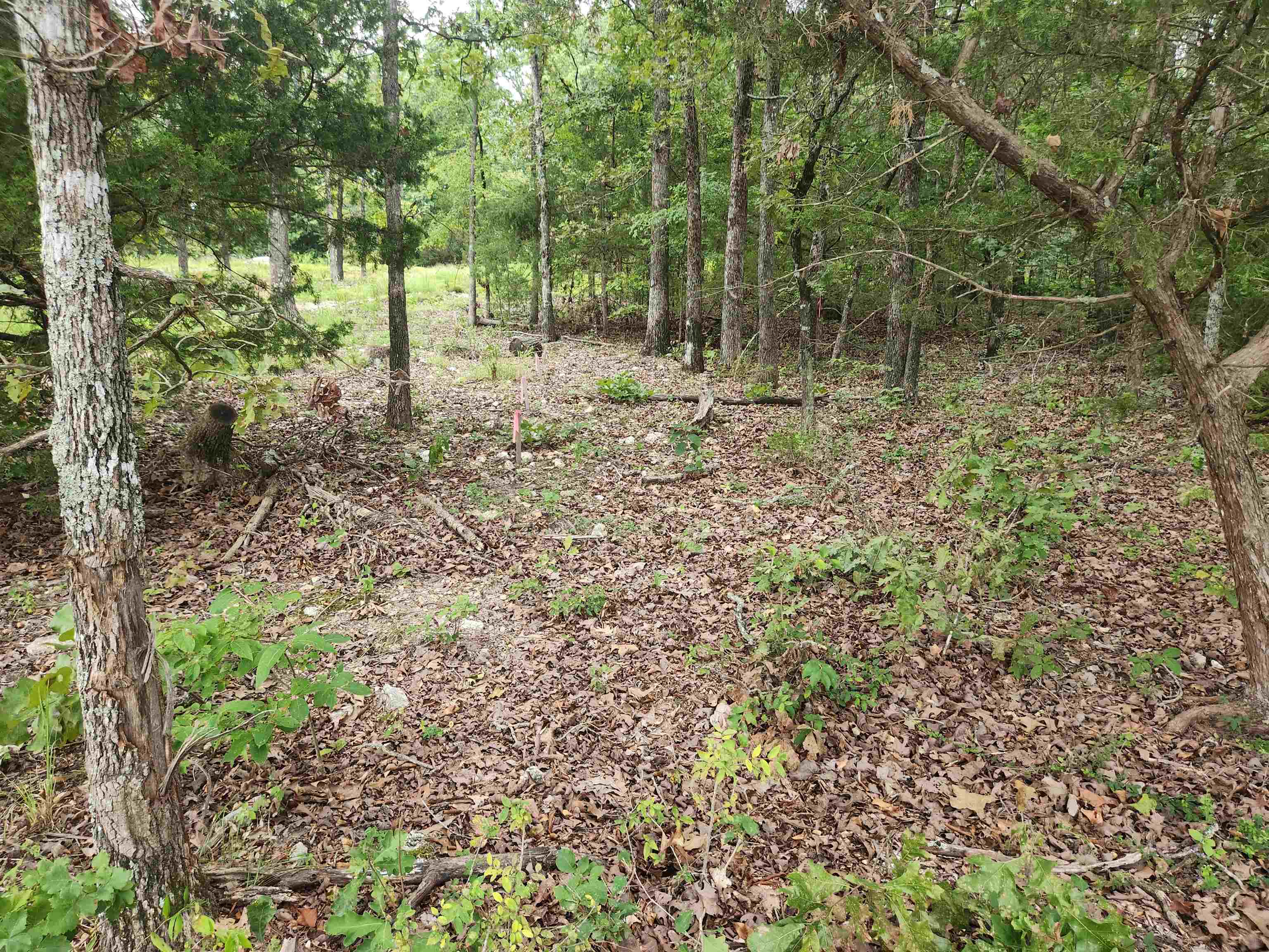 2206  Executive  Horseshoe Bend, AR