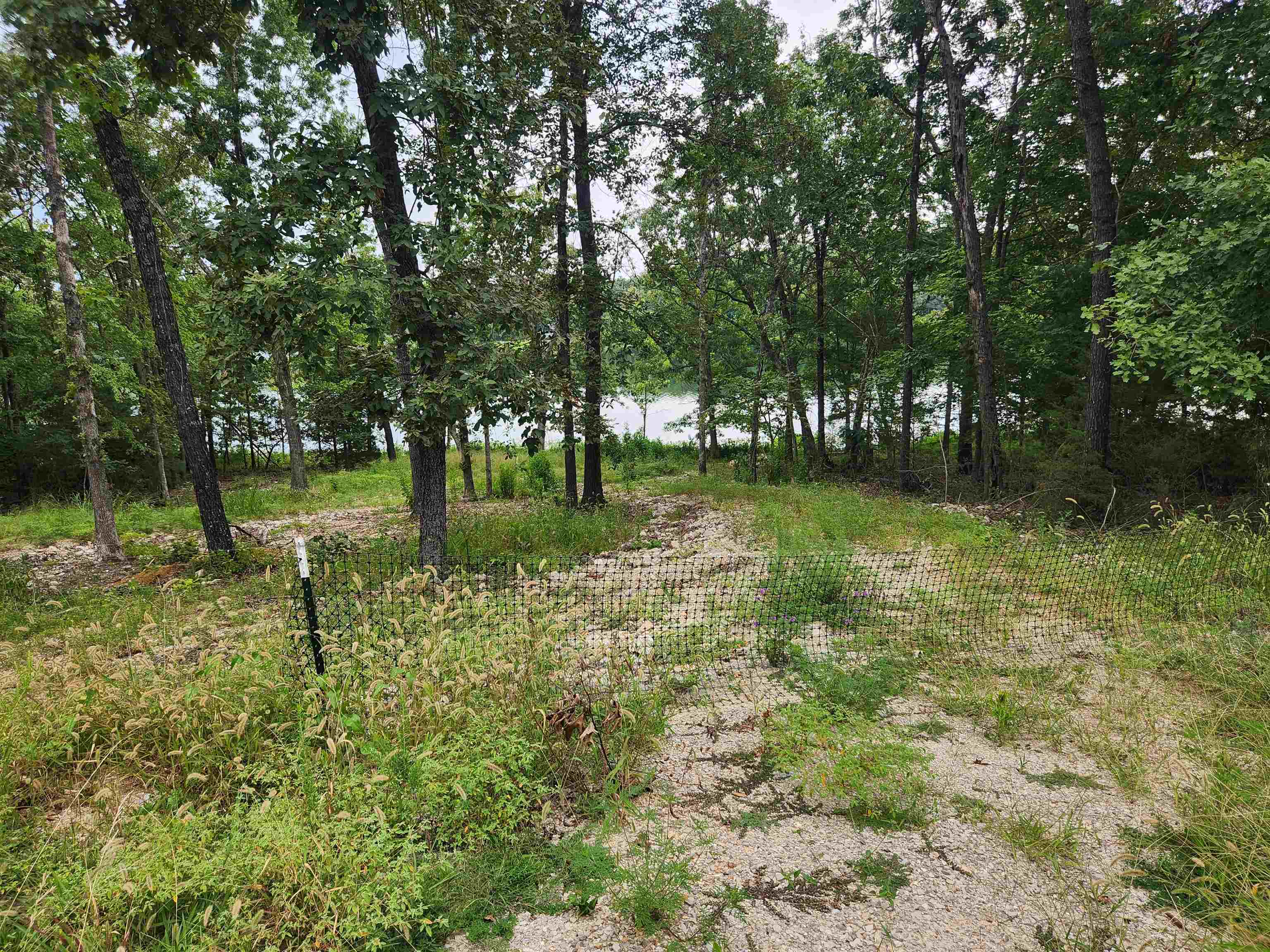 2206  Executive  Horseshoe Bend, AR