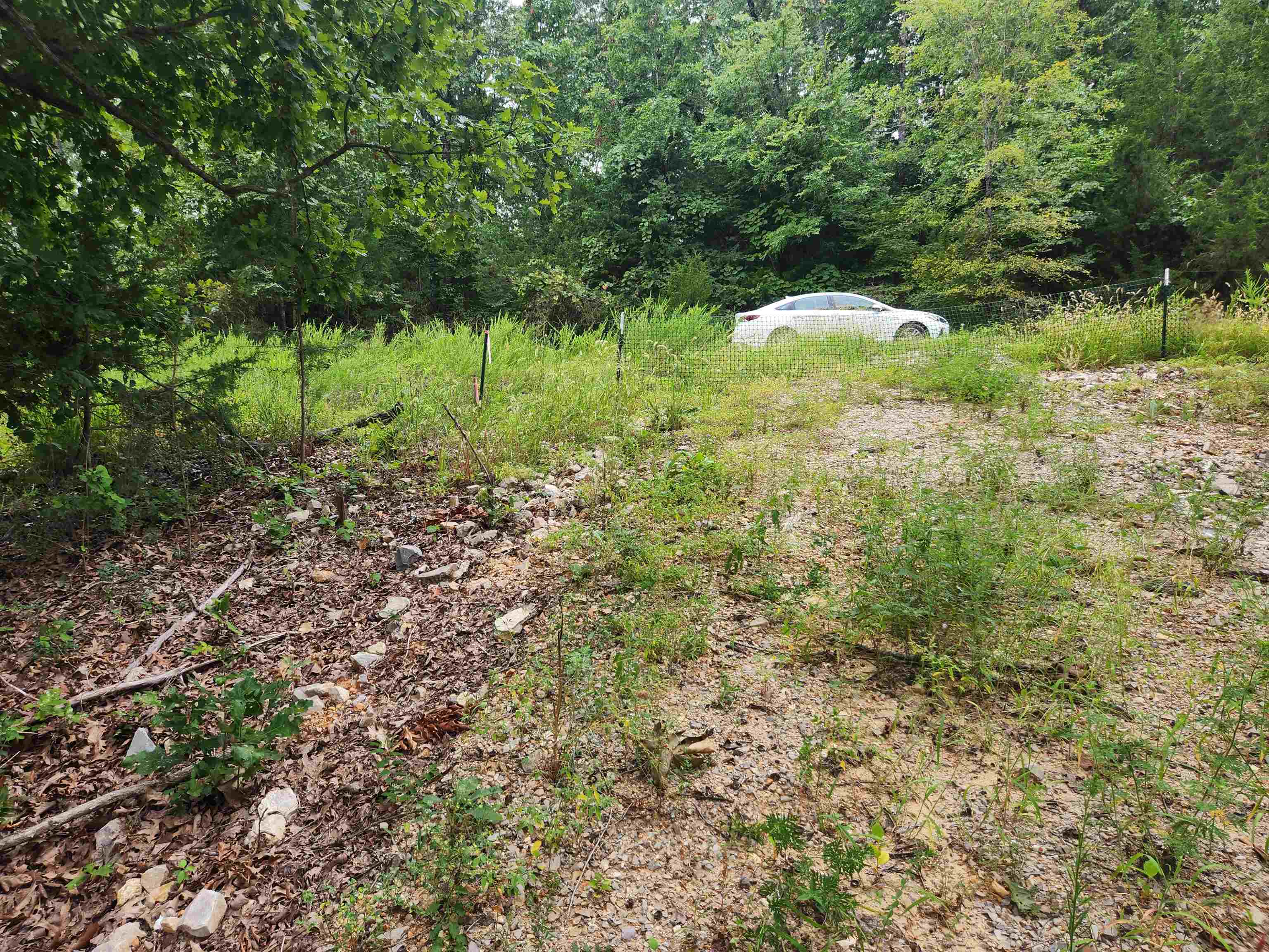 2206  Executive  Horseshoe Bend, AR